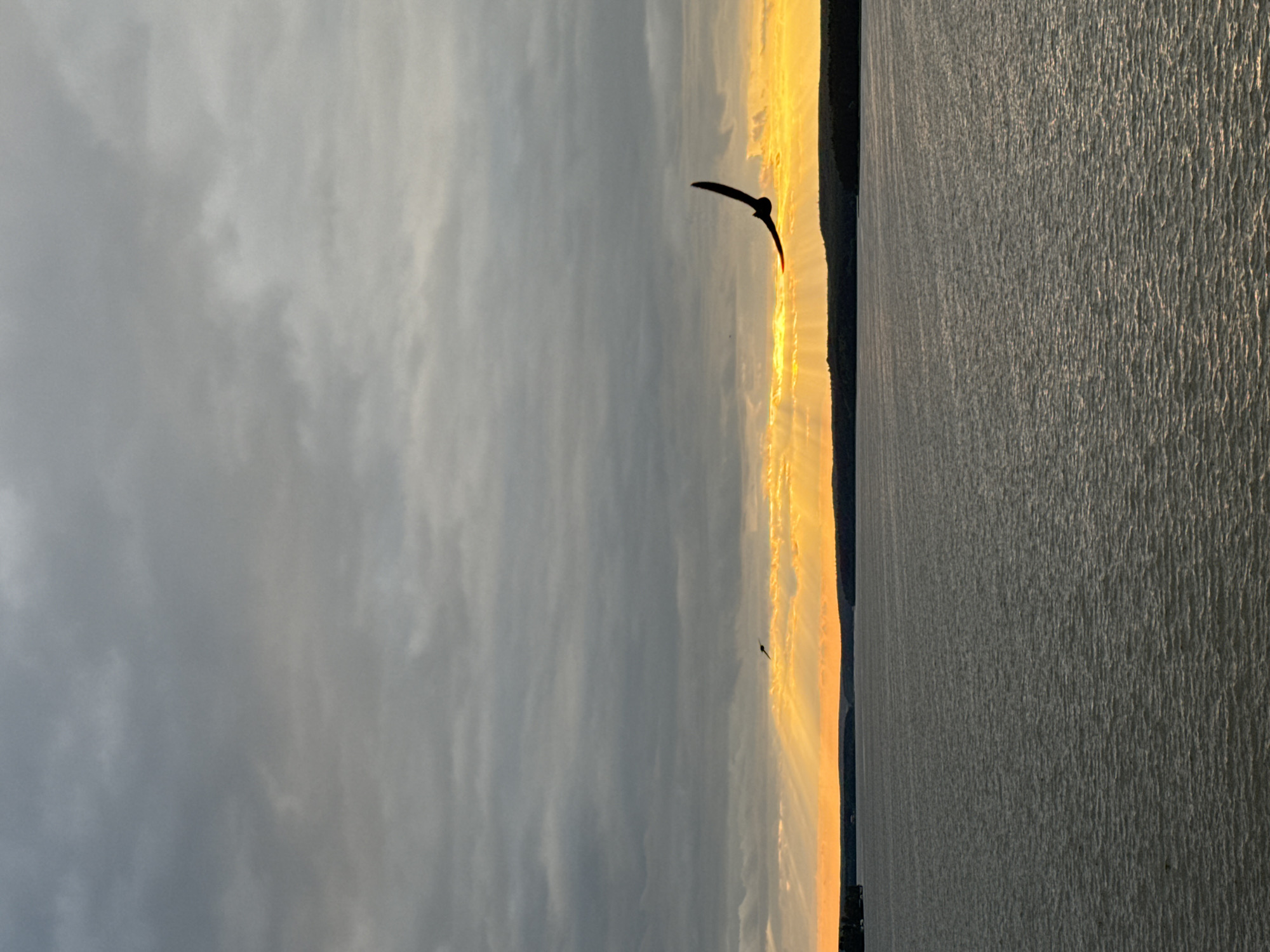 An overcast sky with visible sunbeams breaking through the clouds is seen above a calm body of water. A silhouette of a bird is captured in flight in the upper right quadrant of the image, with its wings outstretched. Another, smaller bird is visible in the distance, to the left of the larger bird. The horizon line is defined by a dark, tree-lined silhouette of land. The scene is set during what appears to be either sunrise or sunset, given the dramatic lighting. The image is believed to have been taken in Votkinsk, Russia, though no specific landmarks are visible to confirm this location.