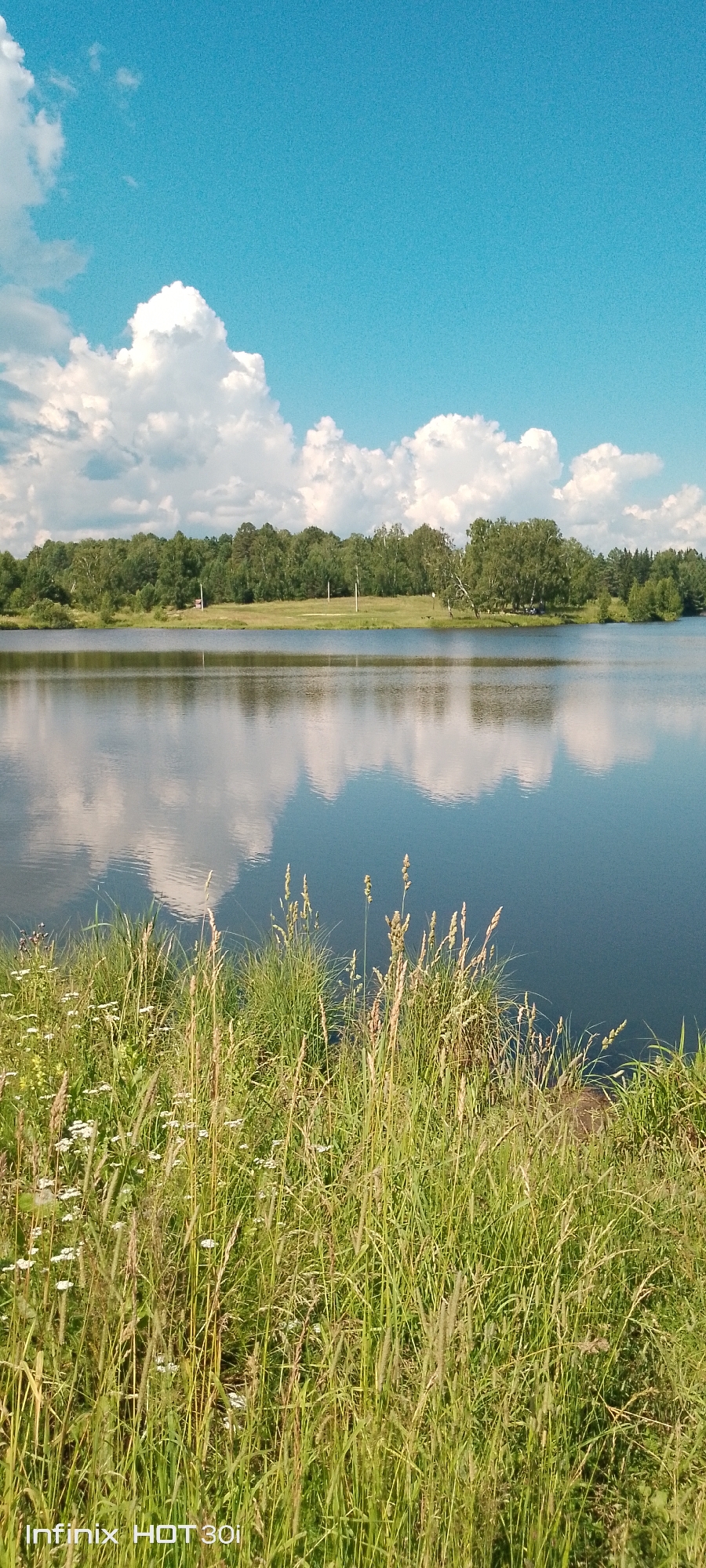 A wide shot captures a serene natural landscape, likely located in Kedrovy, Russia, characterized by a calm body of water mirroring a bright blue sky dotted with fluffy white clouds. The foreground is dominated by a dense growth of tall green grass and wildflowers, suggesting a meadow or riverside area. Across the water, a line of lush green trees forms the distant horizon, their reflections shimmering on the water's surface. The scene is peaceful and unpopulated, emphasizing the natural beauty of the location.
