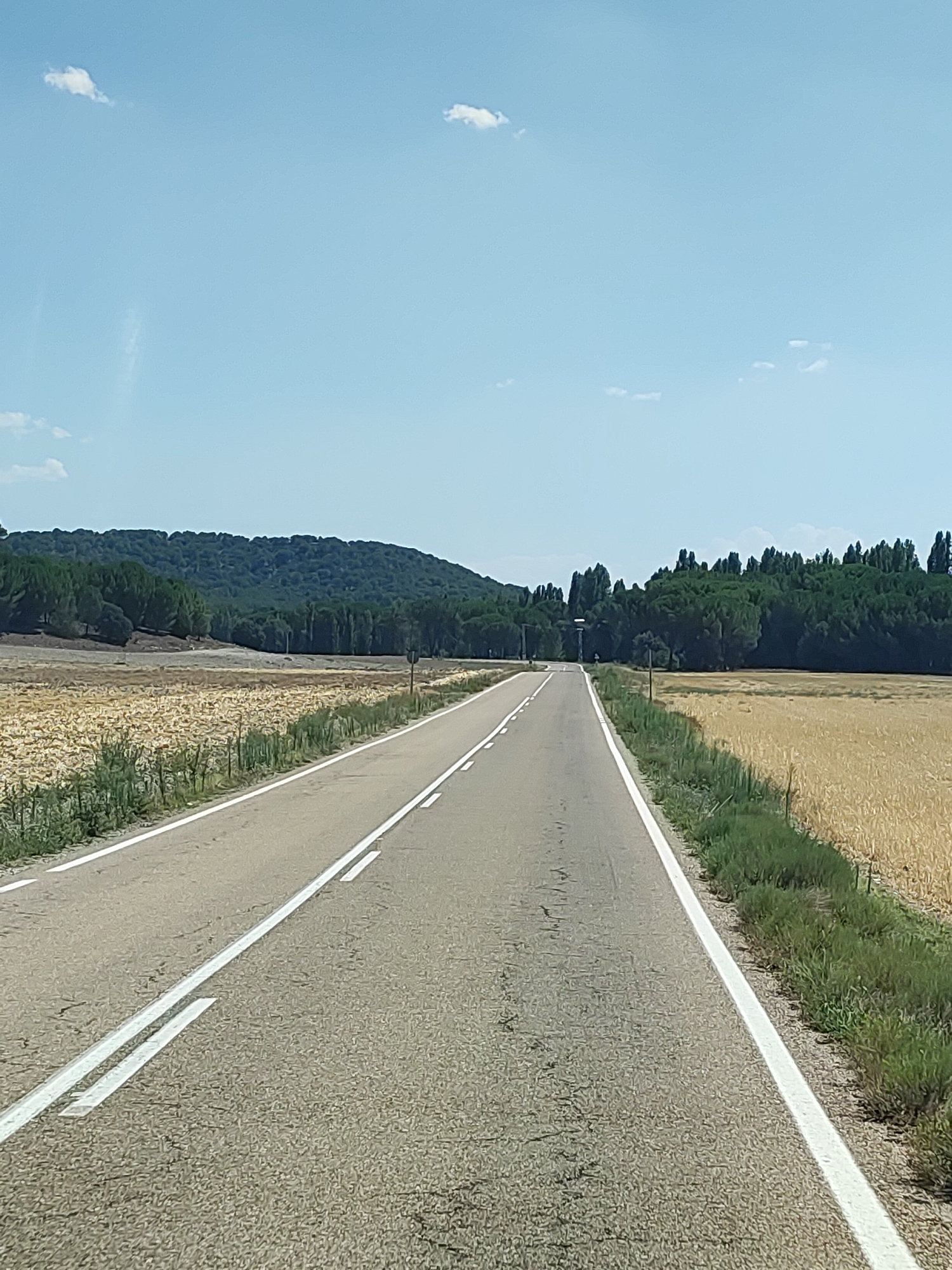 The image depicts a straight asphalt road with white lane markings, leading into a rural landscape under a clear blue sky with a few scattered clouds. To the left and right of the road are fields of dry, yellowish vegetation, possibly harvested crops. In the distance, a dense line of dark green trees forms a forested hillside. The scene appears to be in a rural area, consistent with the location of Santibáñez de Valcorba, Spain, known for its agricultural land and surrounding natural areas. There are no people or vehicles visible in the image. The overall impression is one of a quiet, sunny day in the countryside.