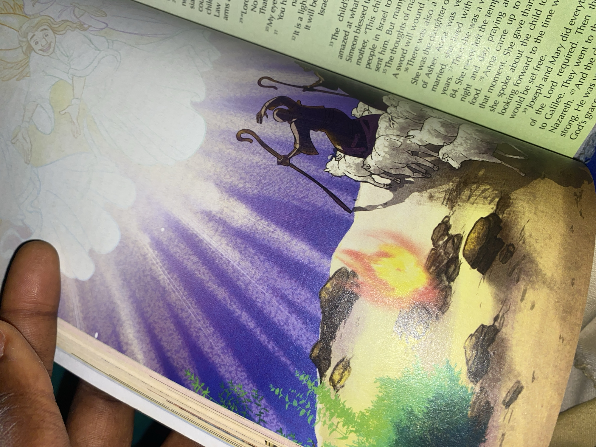 The image displays an illustration from a book, likely a religious text given the presence of scripture text on the right side. The illustration depicts a pastoral scene with a shepherd tending to a flock of sheep. The shepherd, silhouetted against a purple sky with radiating light, holds two staffs and appears to be gesturing towards the sheep. A campfire burns in the foreground, casting an orange glow on the rocky terrain and green foliage. In the upper portion of the illustration, faint outlines of angelic figures can be seen against a white background. The book's pages are visible, with the left page featuring the illustration and the right page containing printed text in a light green hue. The image is partially obscured by a hand, suggesting it's being held open for viewing. The location in the city of Jauro Yinu, Nigeria, is not discernible from the visual information provided in the image.