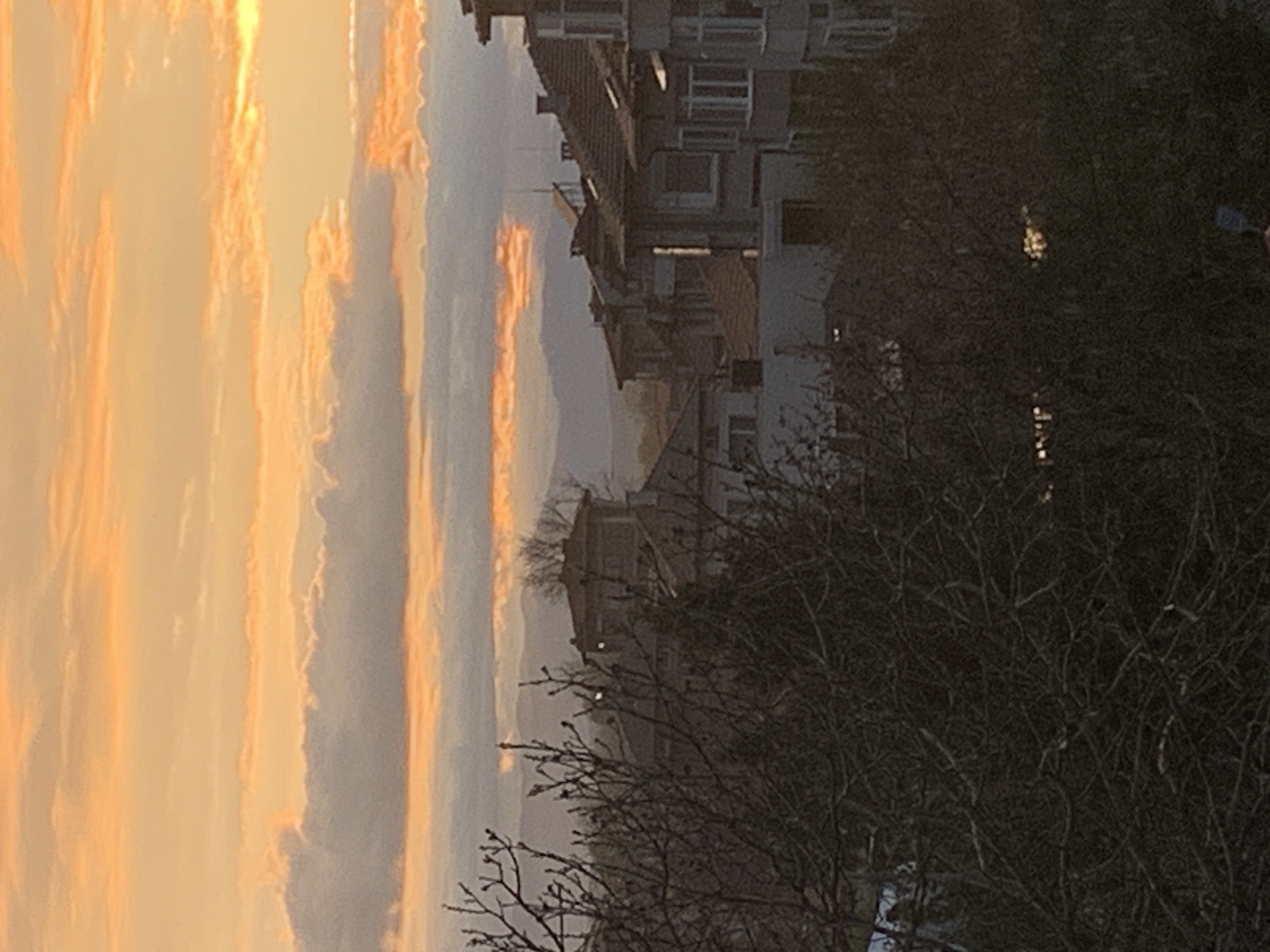 The image shows a landscape in Plovdiv, Bulgaria at dusk or dawn, as evidenced by the sky's orange and grey hues. Residential buildings, likely apartment blocks, are visible behind a bare tree. The architecture is typical of urban Bulgarian housing, with rectangular windows and sloping roofs. The branches in the foreground are bare, suggesting winter or early spring. The low light levels suggest this photo was taken either very early or late in the day. There are no visible people, actions, or interactions. The scene is quiet and static.