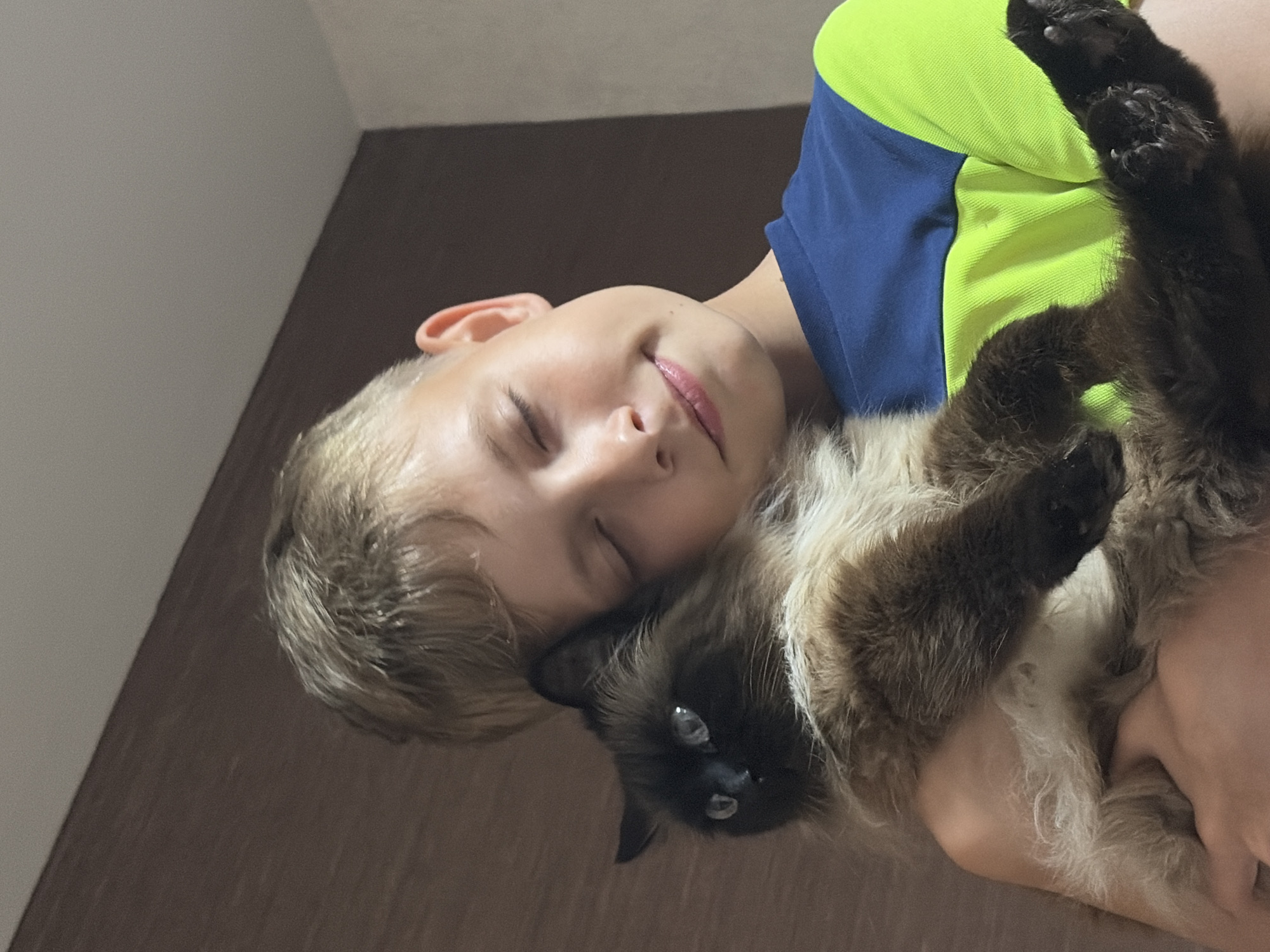 A young Caucasian boy with blond hair and closed eyes holds a fluffy Siamese cat in his arms, pressing the cat against his cheek. The boy is wearing a blue and lime green t-shirt. The cat has dark brown fur with lighter cream-colored fur around its neck and chest, and distinctive dark points on its ears and face. The background is a wall with a wood-like texture. The image appears to be taken indoors, likely in a residential setting in the city of Chaikovsky, Russia.