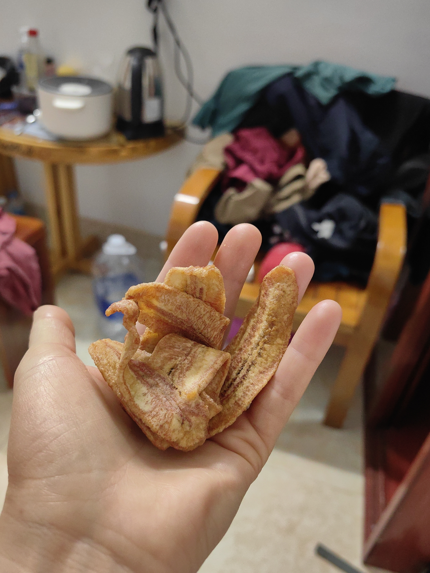 A light-skinned left hand is prominently featured in the foreground, holding a cluster of golden-brown, thin-sliced banana chips. The chips exhibit various shapes and sizes, with some retaining visible striations from the original banana. The hand's palm and fingers are slightly curved to cradle the chips.
The background is an out-of-focus indoor environment. To the left, a light-colored wooden round table supports a white electric rice cooker with a grey lid, a black electric kettle, and a clear bottle containing a yellowish liquid, likely cooking oil. A white wall is behind this table. To the right, a wooden armchair is visible, covered with a pile of clothes in teal, dark blue, and magenta hues. A clear plastic water bottle with a white cap is on the light-colored floor beneath the armchair. The scene takes place in a casual, domestic setting in Sa Pa, Vietnam.
