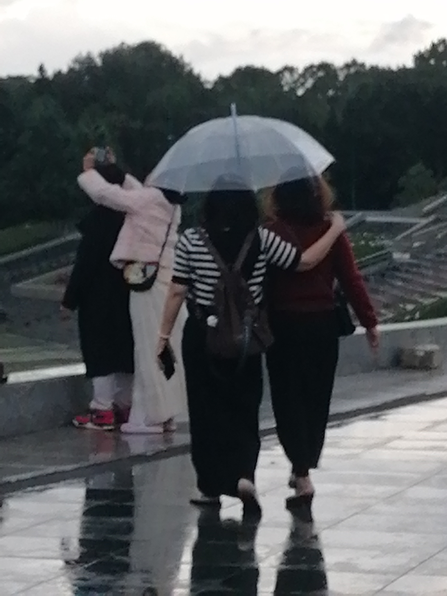 The image depicts a somewhat blurry scene with two individuals walking under a translucent umbrella on a wet, reflective surface, suggesting it is raining. A person on the left wears a pink jacket and a long white skirt, and the person on the right wears a dark long-sleeved shirt and black pants. The person on the right has their arm around the shoulder of the person on the left. In the background, there are trees and what appear to be tiered structures, possibly part of a park or terraced landscape. The lighting suggests it is either overcast or dusk. While the scene is set in the city of Da Lat, Vietnam, this specific location within the city is not identifiable from the image.