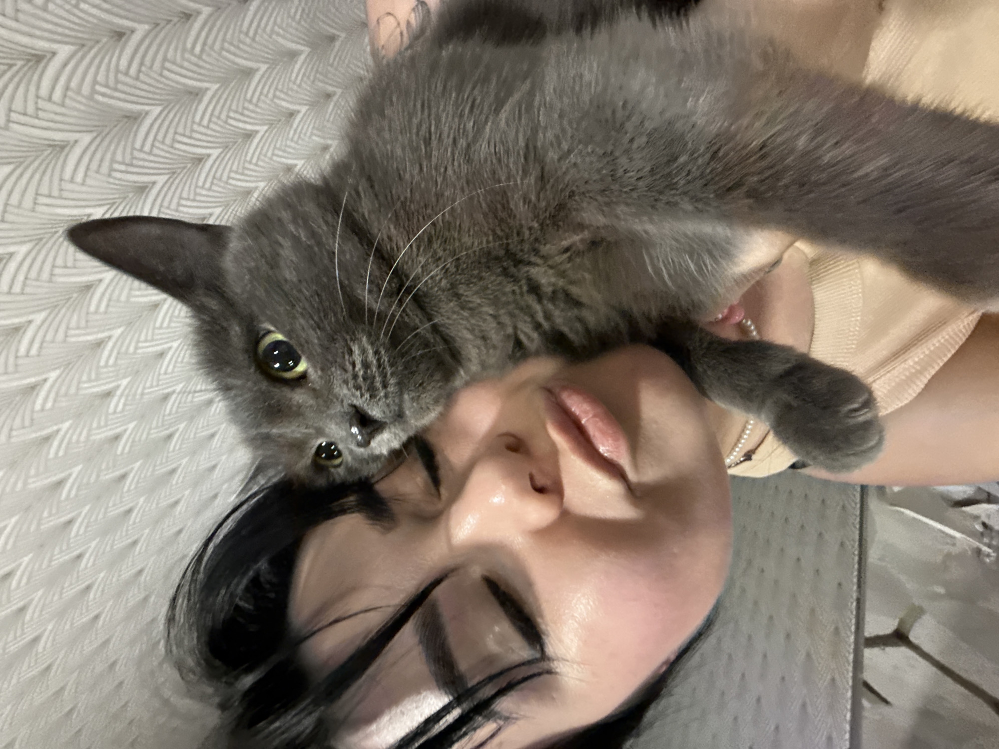 A medium close-up, head-on, high-angle shot shows a gray cat lying on the face of a woman who is lying down. The woman has closed eyes, black hair, and fair skin. The gray cat is positioned with its head near the woman's forehead and its body extending down over her face. The cat's yellow-green eyes are open. A beige shirt or top is visible near the woman's shoulder. The background is a patterned gray surface. The location is in Chaikovsky, Russia.