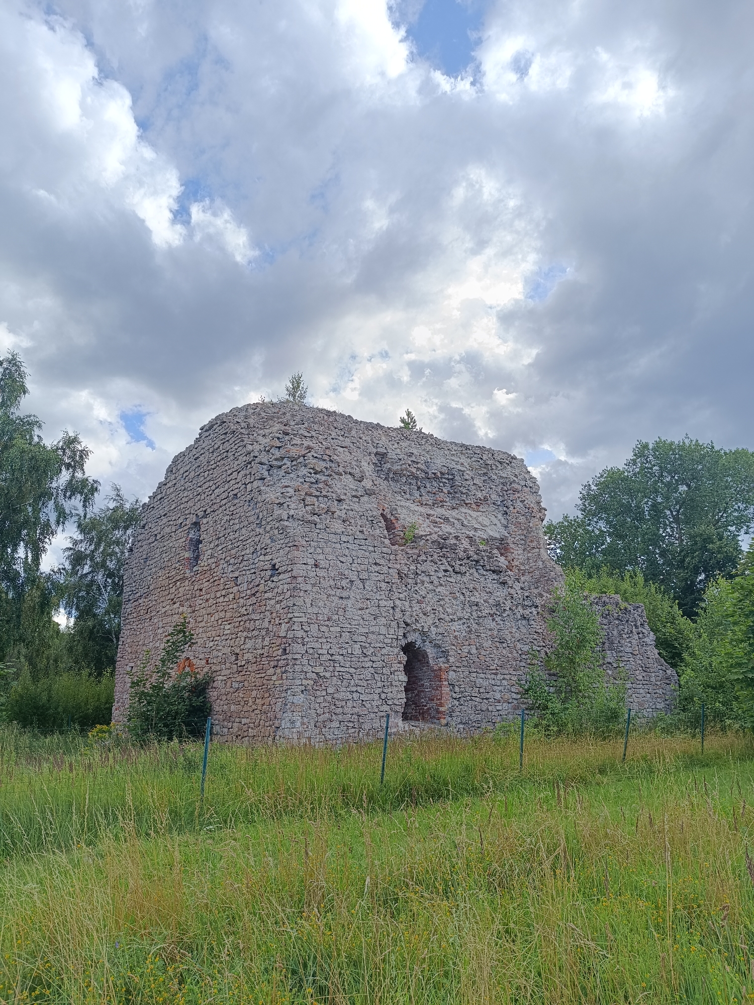 A wide shot captures the imposing ruins of a stone structure situated in a grassy field under a cloudy sky. The structure, likely an old building or ruin, is made of rough-hewn stone blocks and exhibits significant decay, with portions of its walls missing and gaping openings. A single small tree grows from the top of the structure. Lush green trees frame the right side of the ruin, while a taller, sparser tree stands to the left. The foreground is dominated by tall, dry grass, interspersed with some green foliage, and a thin green fence runs across the field, separating the viewer from the ruin. The sky is a mix of grey and white clouds, with patches of blue visible, suggesting an overcast day.