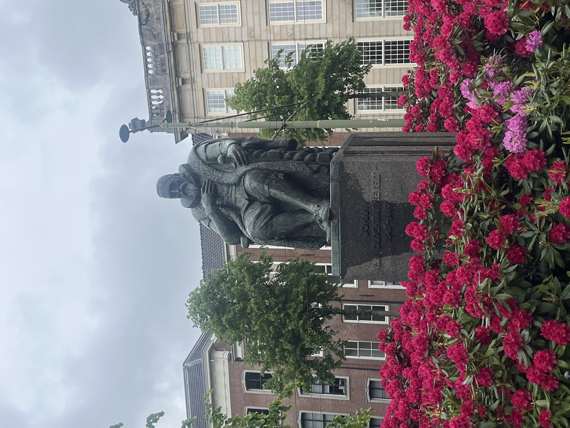 The image captures a statue of Johan van Oldenbarnevelt, a prominent Dutch statesman, situated in The Hague, Netherlands. The bronze statue depicts Oldenbarnevelt seated, adorned in historical attire, with a wreath around his shoulders. The statue sits atop a stone pedestal bearing his name. In the background, a historic building stands with many windows. Vibrant pink and purple rhododendrons fill the right side of the image, framing the statue. Trees are seen adjacent to the statue and behind the building. A street light fixture also is seen to the left of the statue. The overall scene suggests an overcast day.
