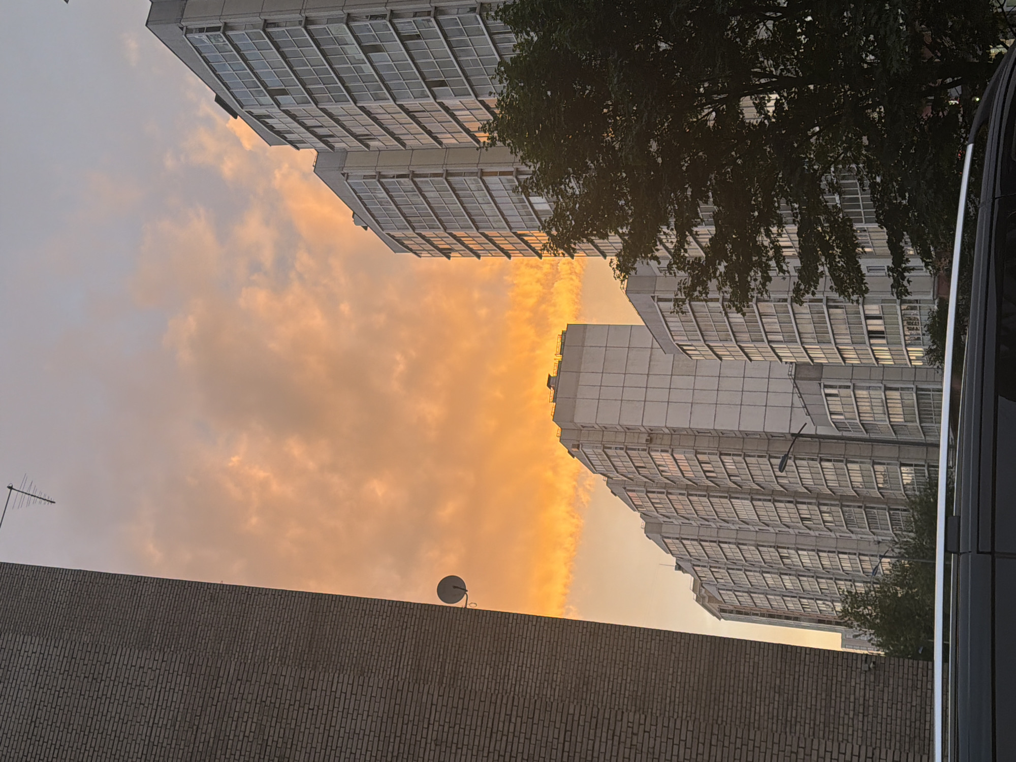 The image shows a view of several residential buildings in an urban environment, likely during sunset or sunrise given the warm orange hues in the sky. In the foreground, the side of a brick building is visible on the left, with a satellite dish attached to its exterior. To the right, a series of tall, modern apartment buildings with numerous windows dominate the scene. A large tree with dense foliage is positioned in front of some of these buildings. The sky above is filled with dramatic clouds, painted in shades of orange and yellow, indicating diffused light. The lower part of the image reveals the roof of a dark-colored vehicle, suggesting a street-level perspective. The overall impression is of a residential district during twilight.