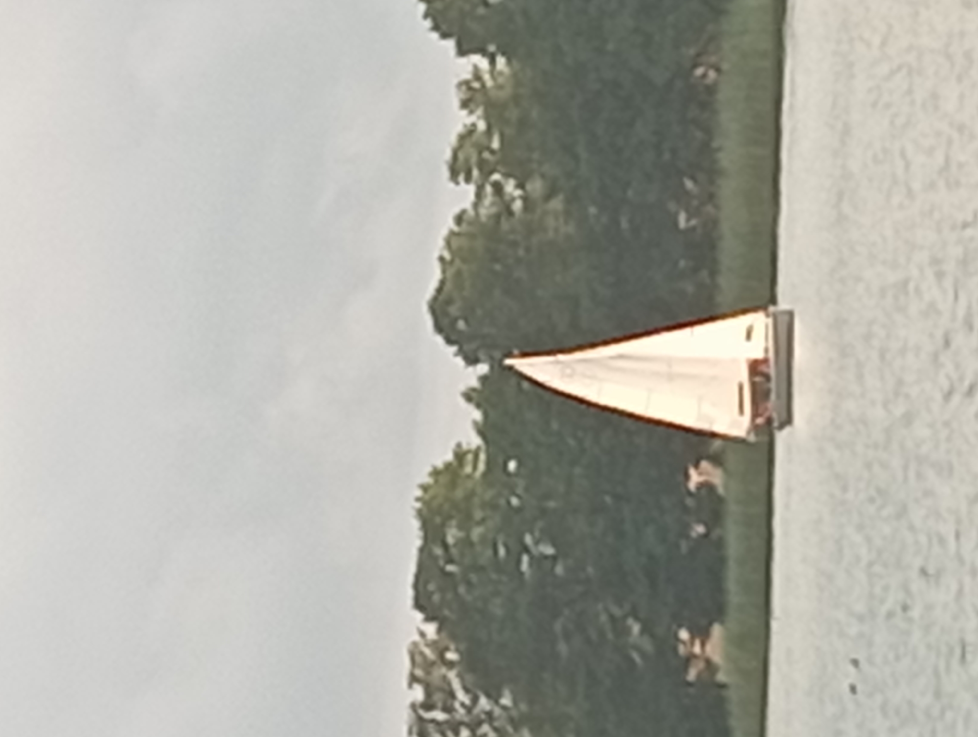An overhead view captures a single white sailboat with a tan trim sailing on a calm body of water, possibly a lake or river. The sailboat has a main sail and a jib, both inflated by the wind. The boat appears to be moving towards the right of the frame. In the background, a dense line of lush green trees forms a backdrop, with a slightly overcast sky above. The water's surface is smooth, with a subtle texture indicating gentle ripples. The image is taken from a distance, with the overall scene appearing slightly out of focus, particularly the trees in the background, suggesting a possible telephoto lens was used or the image was captured from a moving vehicle. There are no discernible landmarks or buildings that would specifically identify this location as Mołowiste, Poland.