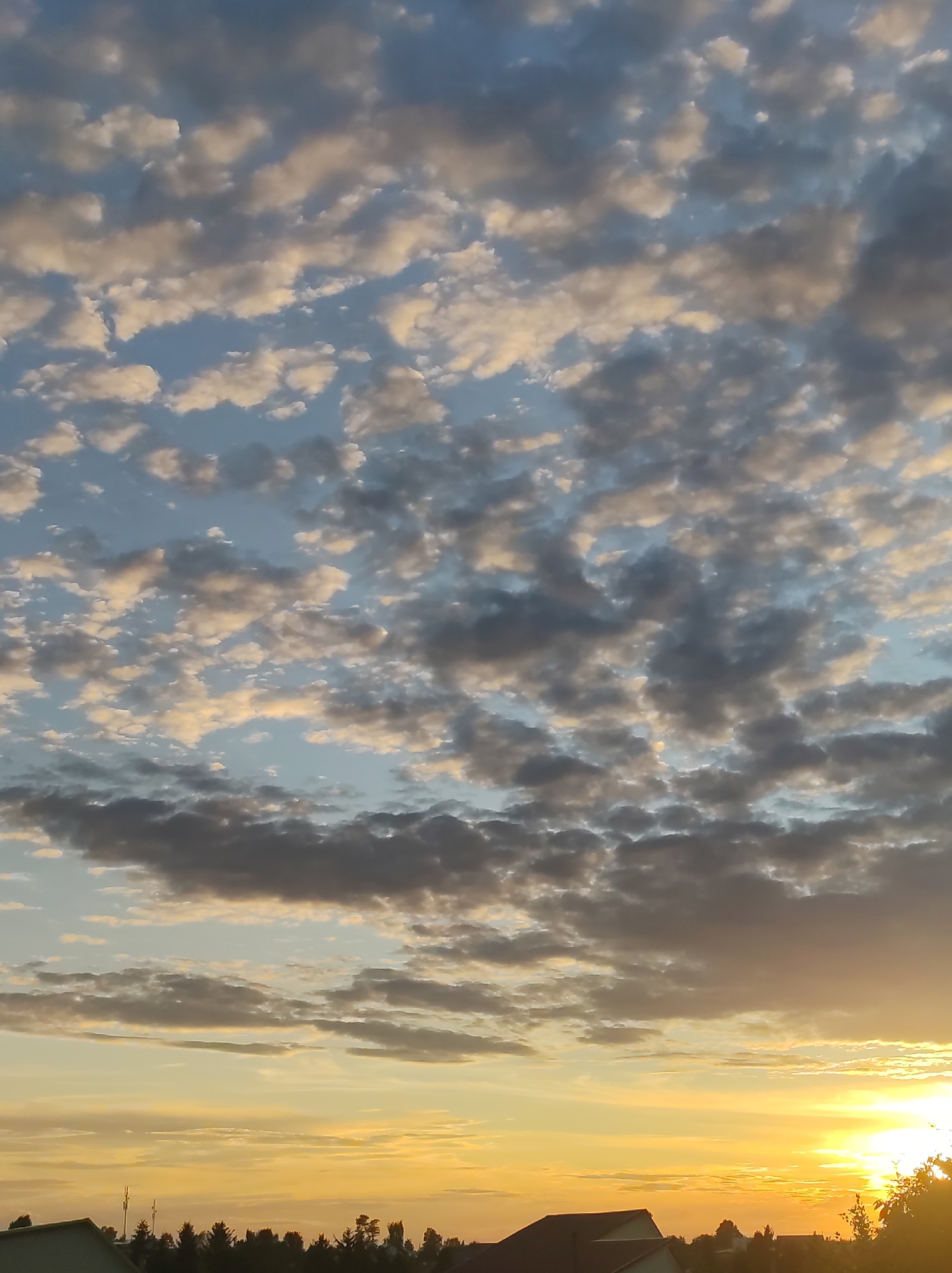 The image captures a serene sunset scene in Foky, Russia. The sky is a canvas of blues and oranges, filled with a textured array of clouds. Some clouds are bright white and tinged with golden light from the setting sun, while others are a deeper gray, suggesting varying altitudes and densities. The sun itself is a brilliant, radiant orb near the bottom right of the frame, its light casting a warm glow across the horizon.
Below the sky, a dark silhouette of trees forms a natural border against the bright sunset. Peeking above the trees are the rooftops of houses, hinting at a residential area. The overall atmosphere is peaceful and tranquil, evoking the quiet beauty of a day's end. The time of day is clearly sunset, indicated by the low position of the sun and the warm, diffused light. The weather appears clear with scattered clouds, allowing for a dramatic display of sunset colors. There is no visible text in the image.