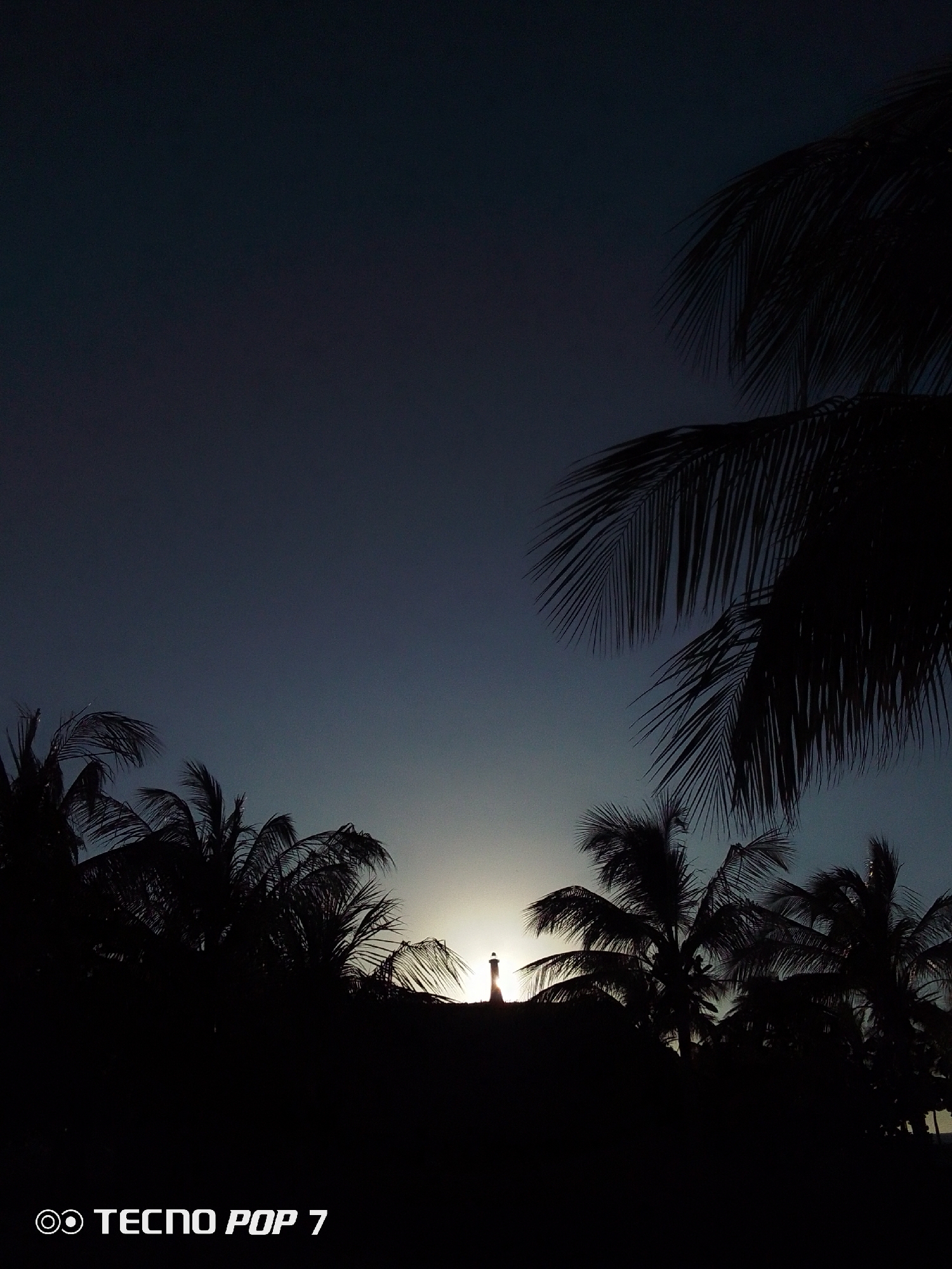 The image depicts a silhouetted scene in Pedro González, Venezuela, at sunset or sunrise. In the middle ground, there is a person standing on a slight rise, positioned against the bright light of the sun. The foreground is filled with the silhouettes of palm trees. The sky transitions from light near the horizon to a dark blue above. At the bottom, there's the phone camera information.