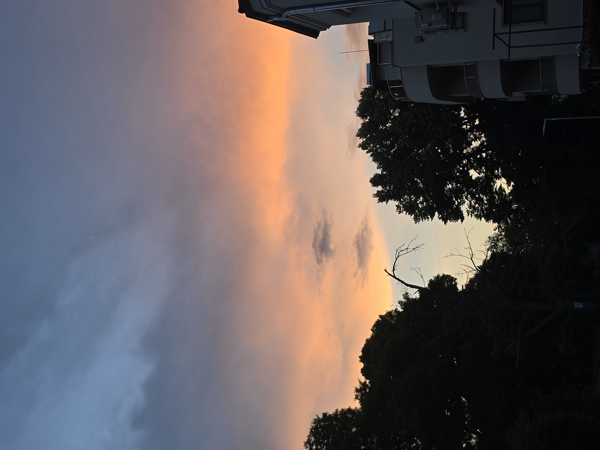 The image depicts a sky with a dramatic sunset. The upper portion of the sky is a deep, moody blue, transitioning into shades of purple and pink, with a vibrant band of orange and yellow clouds near the horizon. Silhouetted against the colorful sky are the dark shapes of trees on the left and right sides of the frame, with a prominent, bare, dead tree branch extending upwards in the center-left. To the right, a portion of a modern white building is visible, featuring curved balconies with decorative railings and an air conditioning unit mounted on the exterior wall. The setting appears to be an urban environment, likely a residential area in the city of Plovdiv, Bulgaria, given the architectural style and the presence of trees and buildings against a sunset sky. There are no people or active interactions visible in the scene. The overall impression is one of natural beauty juxtaposed with urban development.