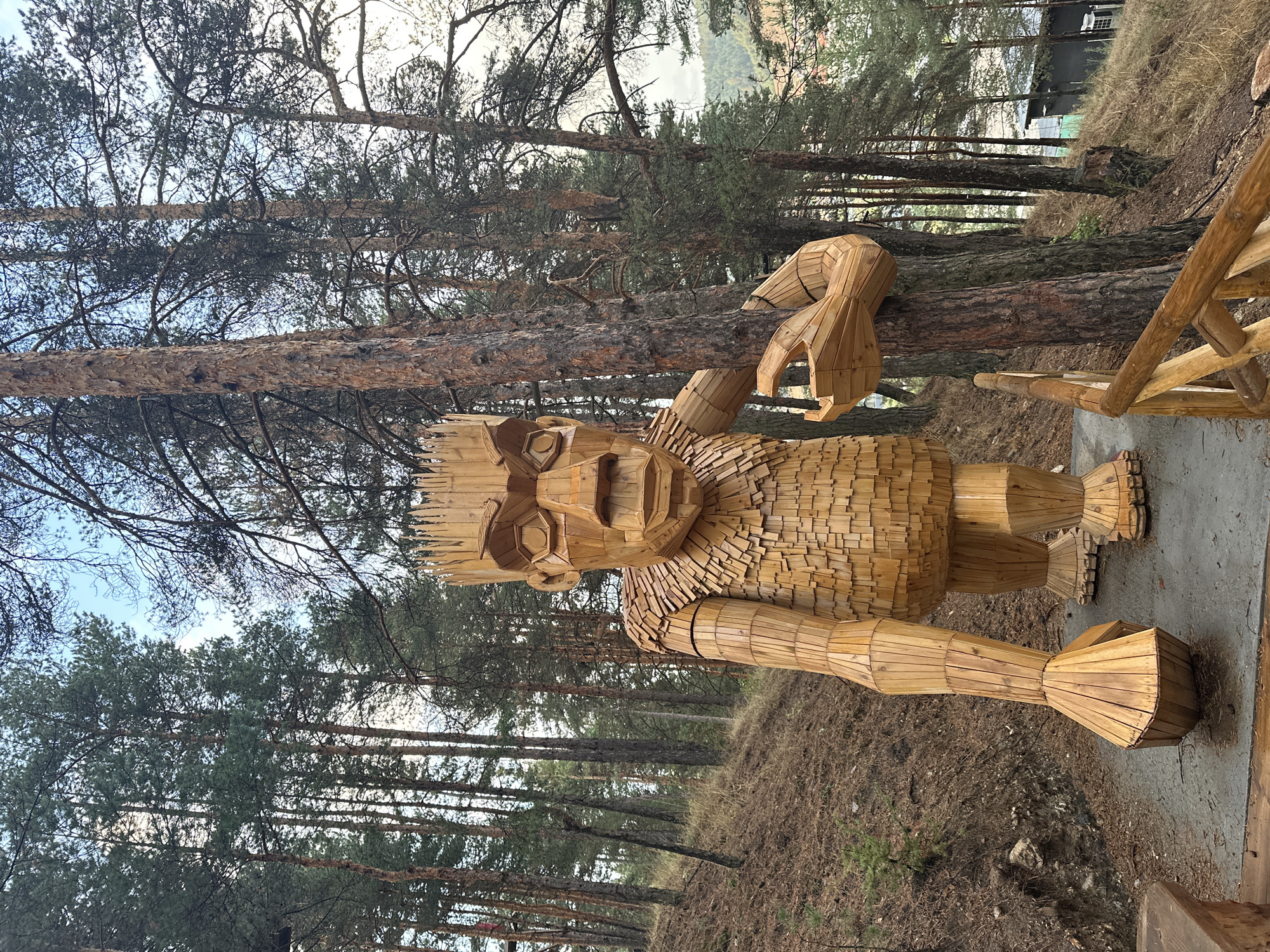 The image shows a large wooden sculpture of a troll-like figure in a forest setting, identified as being located in the city of Bania, Bulgaria. The sculpture is made of numerous wooden planks and is positioned on a paved path. It is depicted in a walking pose, with its left leg forward and its right arm resting on a tall tree trunk. The troll has a distinct face with large, angular features and a crown-like headdress made of wooden spikes. The surrounding environment is a dense forest of pine trees, with a steep, grassy slope to the left of the sculpture and a wooden railing in the foreground. The sky is overcast.