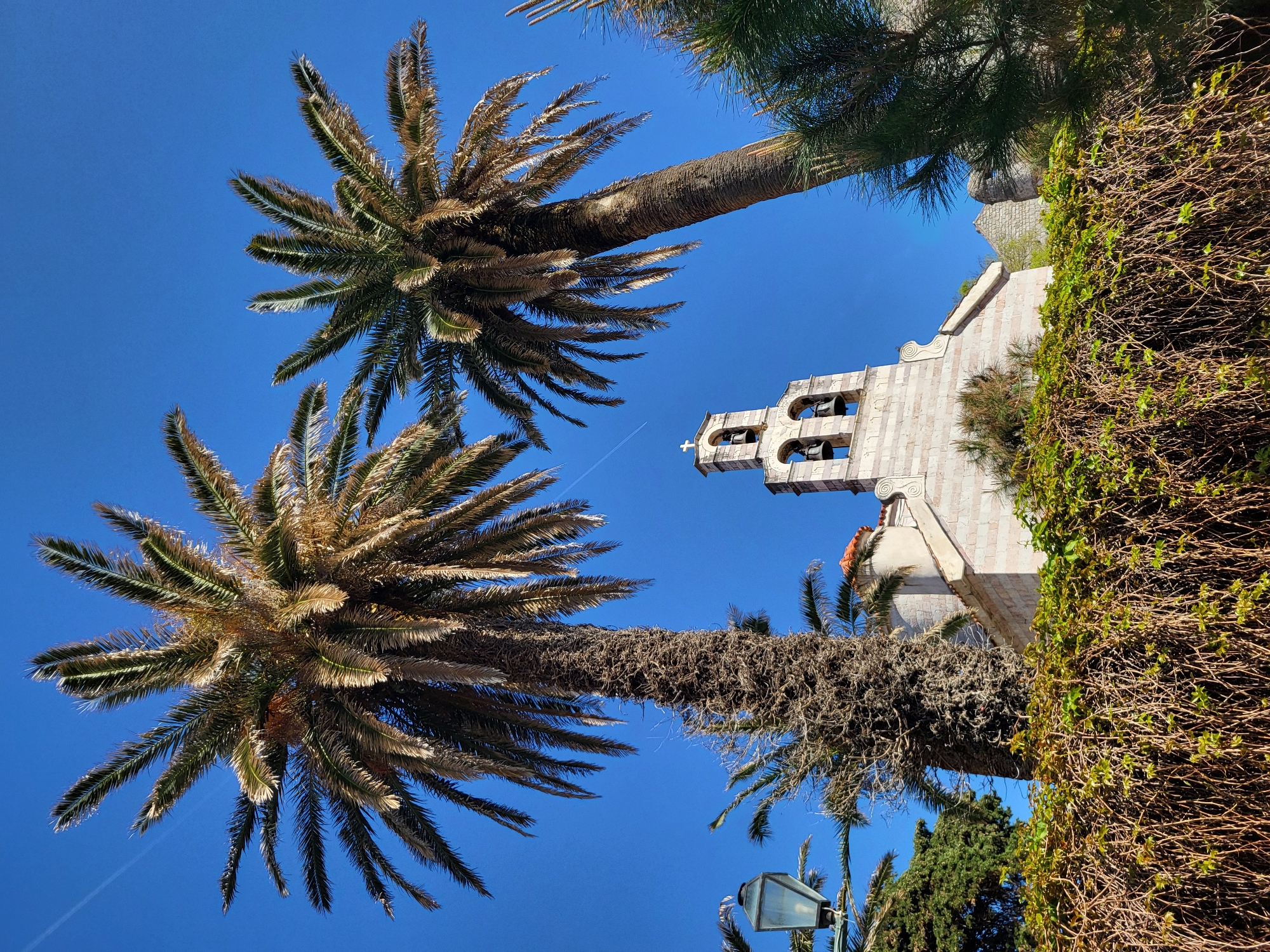 The image, taken from a low angle, features two palm trees against a clear blue sky in Budva, Montenegro. A building with a stone facade and a bell tower is partially visible behind the trees, adorned with a cross at the top. Vegetation grows on the side of the building. A contrail streaks across the sky. A lamppost appears at the bottom, with a light blue cover.