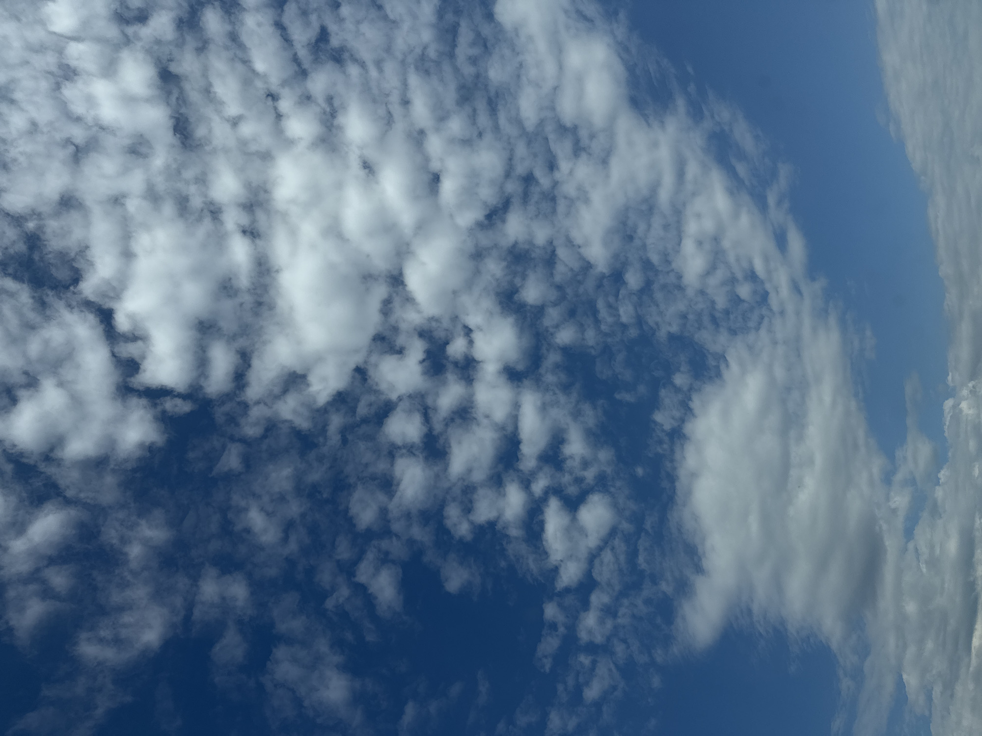The image depicts a bright blue sky filled with scattered white clouds. The clouds vary in size and density, with some appearing wispy and thin, while others are more rounded and voluminous. The overall impression is of a clear day with fair weather conditions. There are no visible landmarks, buildings, or people in the image, suggesting it is a view of the sky from an open area. The location provided, Rajana, Bulgaria, is a residential neighborhood in Sofia.