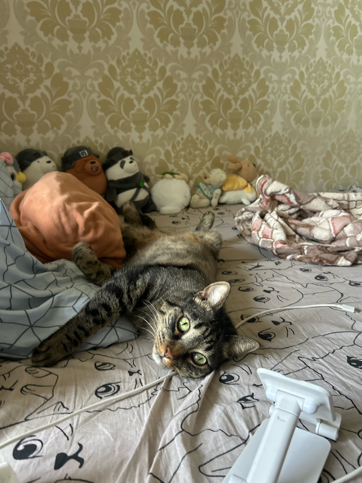 A tabby cat with green eyes is lying on its back on a bed with a patterned comforter and a sheet with a cartoon cat print. The cat is in the foreground, with its legs and paws extended upwards. Behind the cat, there are several stuffed animals arranged in a line. The background is a wall with patterned wallpaper. A white phone stand is on the bed in the lower right corner. The scene appears to be indoors, possibly a bedroom. There is no discernible indication of the location being in Khyrdalan, Azerbaijan.