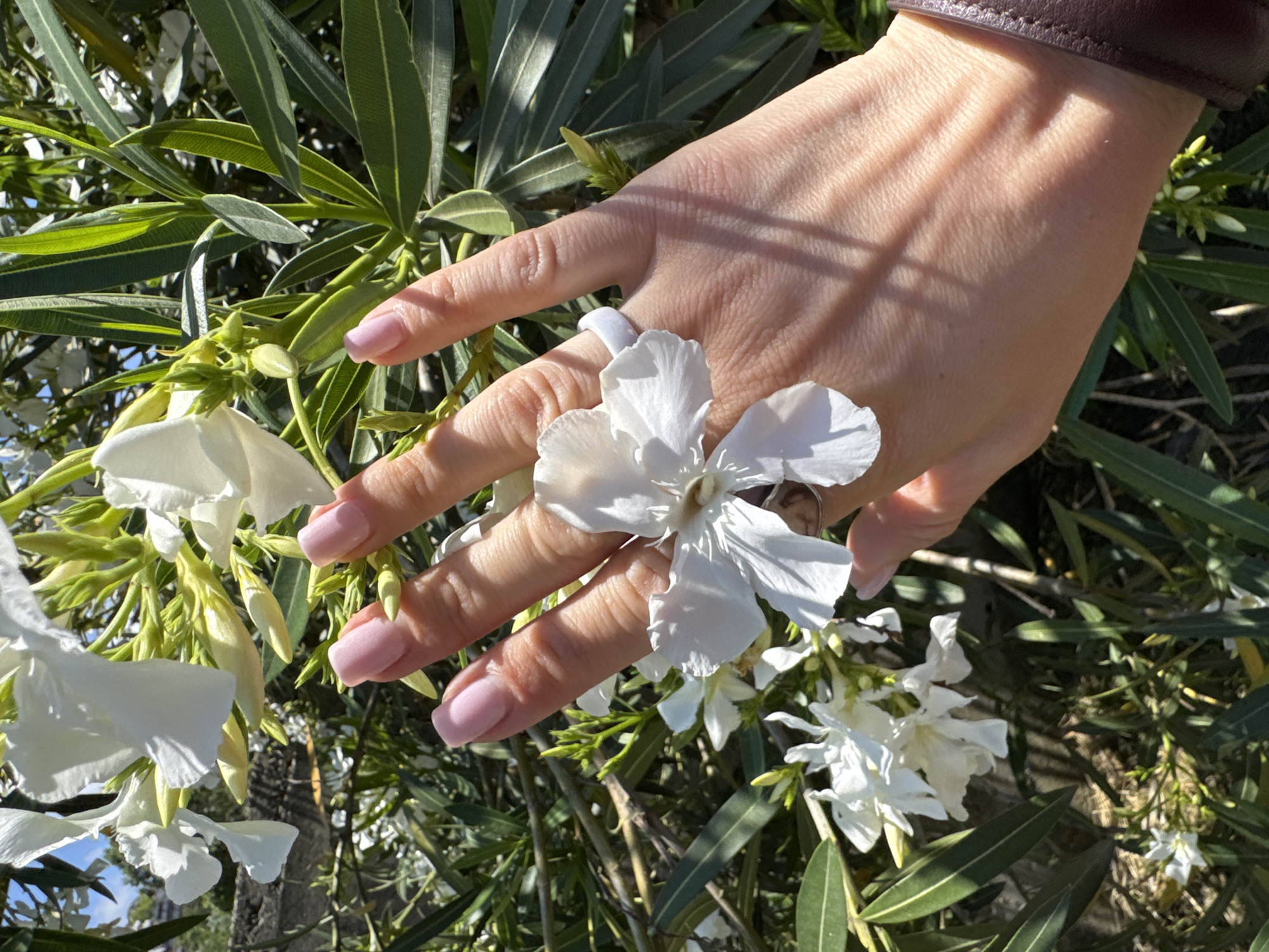 A close-up shot features a person's left hand with pale pink nail polish and a white ring, gently touching white flowers and green foliage. The hand is positioned in the foreground, with the flowers and leaves creating a natural, dappled background. The lighting suggests it is daytime, with shadows cast across the hand by the surrounding vegetation. The context of Sochi, Russia, is not discernible from the visual information provided in the image.