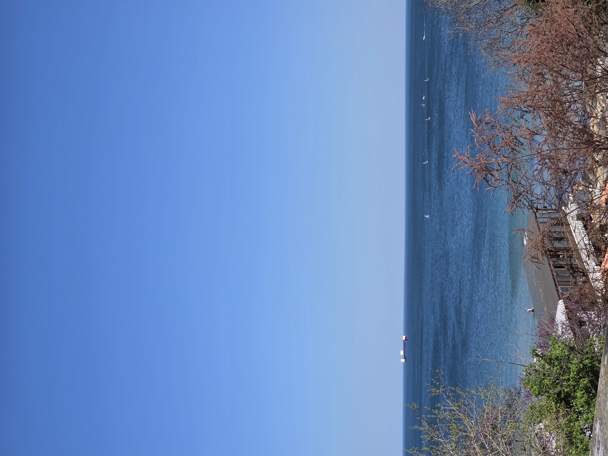 The image shows a view of the Black Sea from what appears to be a vantage point in the city of Varna, Bulgaria. The sea is a deep blue color, with a few small boats and a large vessel visible in the distance. The sky is a clear blue, with no clouds in sight. The foreground is a mix of vegetation, including trees and shrubs, with some appearing to be in bloom. A portion of a building is seen partially obscured by the trees. A figure is barely discernible on a dark, sandy beach. The orientation of the picture is vertical.