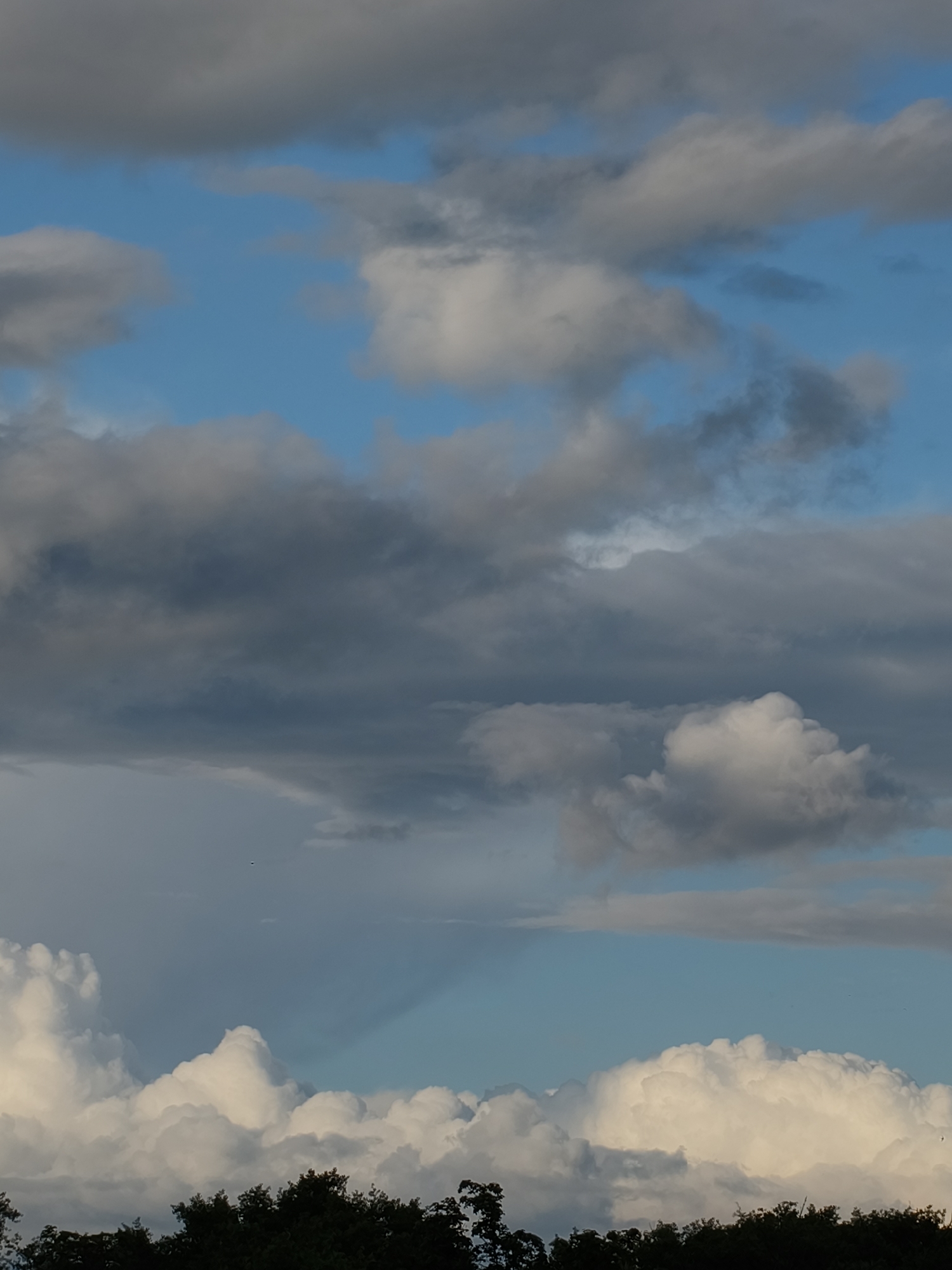 The image shows a sky filled with cumulus and stratocumulus clouds. Some clouds are white and puffy, while others are dark gray, suggesting a mix of weather conditions. Patches of blue sky are visible between the clouds. The silhouette of trees is visible in the foreground, indicating a ground-level perspective. The location is identified as Kryvyi Rih, Ukraine.