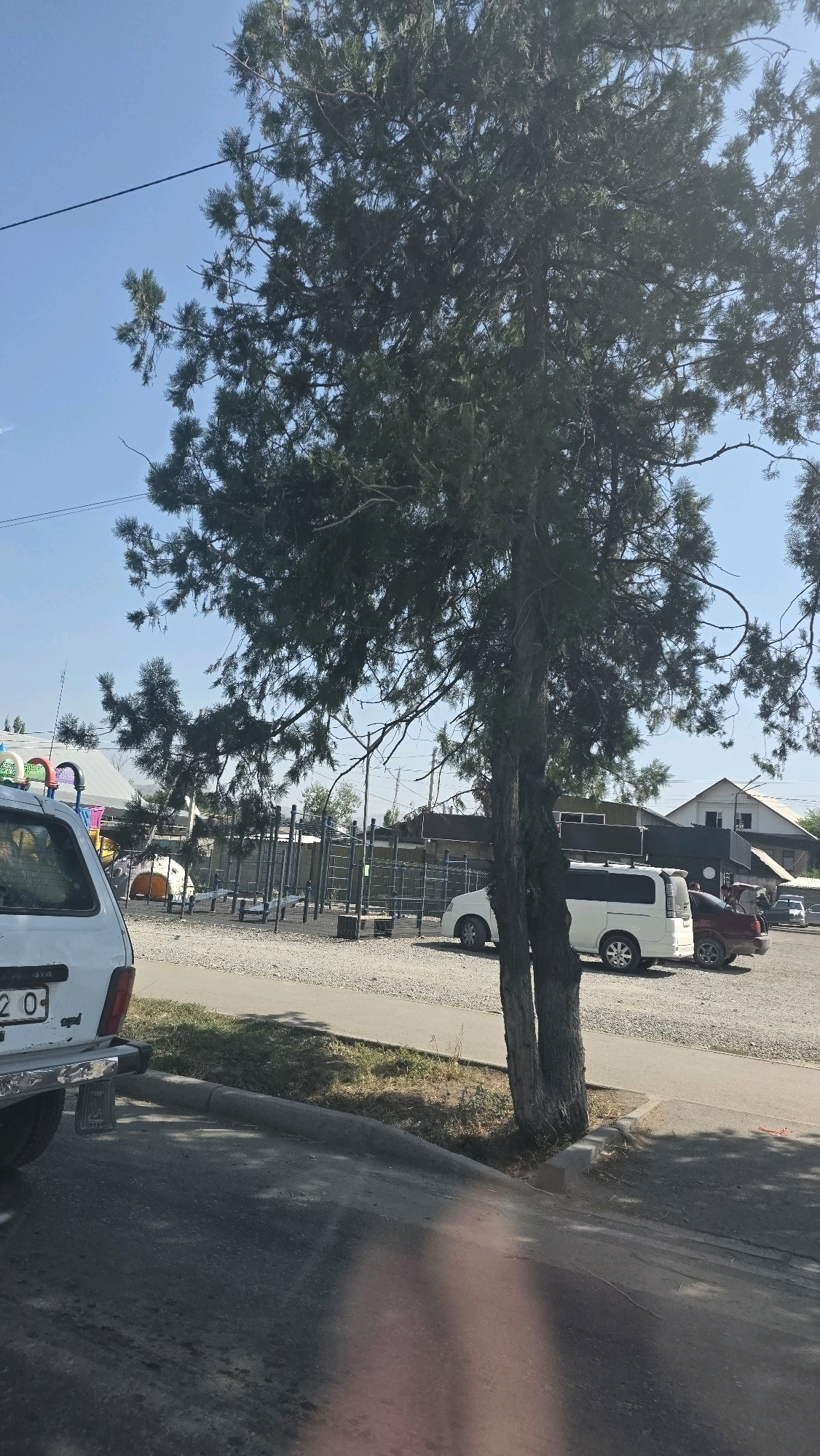 In Tokmok City, Kyrgyzstan, a sunny day is captured on a street adjacent to an outdoor sports complex. A large evergreen tree dominates the foreground, its branches casting shadows on the asphalt. In the background, the sports complex features a variety of workout equipment, including bars and benches, set on a gravel ground. Several vehicles are parked nearby, including a white van, a red sedan, and a white SUV. A white Lada vehicle is partially visible in the lower left of the frame. Buildings can be seen behind the sports complex, some with visible roofs and windows. The sky is clear and blue.