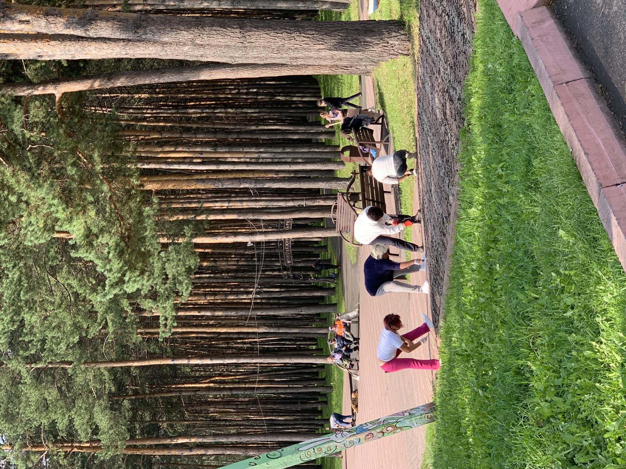 This image depicts an outdoor scene in a park, likely in the city of Prokopyevsk, Russia, characterized by a dense stand of tall pine trees. In the foreground, several individuals are engaged in various activities on a paved walkway and adjacent grassy areas.
To the left, a woman in pink pants and a white shirt is bending over, touching her toes, indicative of stretching. Next to her, a man in a white shirt and dark pants is also bending over, appearing to do the same. Further back, two women, one in a dark blue top and grey pants, and another in a white top, are also bent over, possibly participating in a group exercise or cleaning activity.
In the middle ground, three men are seated on a park bench. One man is wearing a blue cap and a light blue shirt, another a dark blue shirt, and the third an orange shirt. To their right, a woman in dark clothing is standing.
Further back, a sign with Cyrillic lettering, possibly indicating a park name, is visible. A few individuals are walking in the background. The environment consists of a well-maintained park with paved paths, grassy areas, and numerous pine trees providing shade. The overall atmosphere suggests a recreational or fitness-oriented gathering.