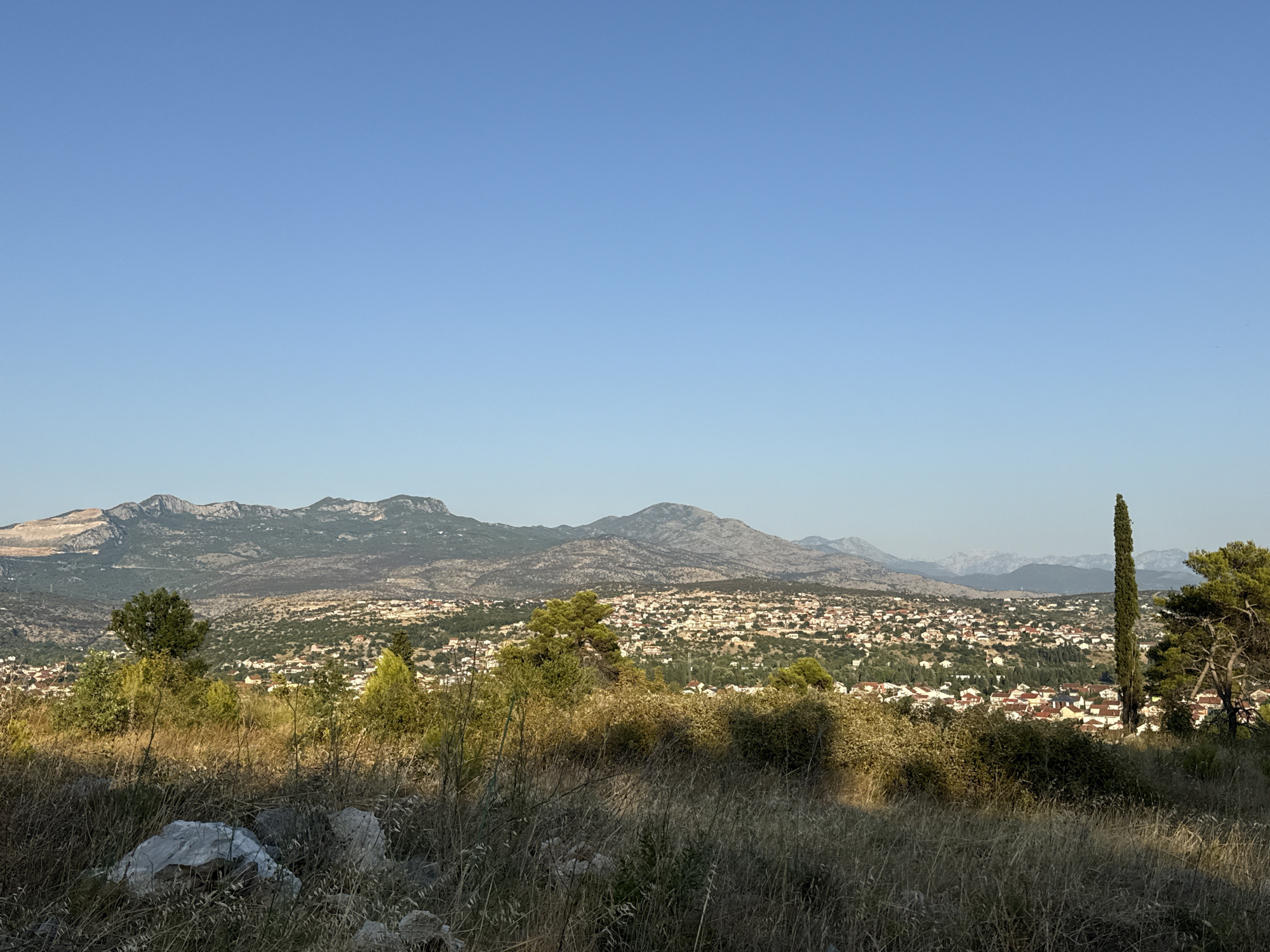 The image captures a scenic panoramic view of a city nestled among rolling hills, with a backdrop of majestic mountains under a clear, pale blue sky. In the foreground, dry, golden grasses and scattered rocks suggest a somewhat arid environment, possibly a hillside overlooking the urban sprawl. Several trees, including a tall, slender cypress on the right, punctuate the landscape. The city itself is a dense collection of buildings with red-tiled roofs, interspersed with greenery, suggesting a Mediterranean or similar climate. The distant mountains appear rugged and imposing, their peaks softened by haze or distance. The overall impression is one of tranquility and expansive natural beauty, with human settlement harmoniously integrated into the landscape.