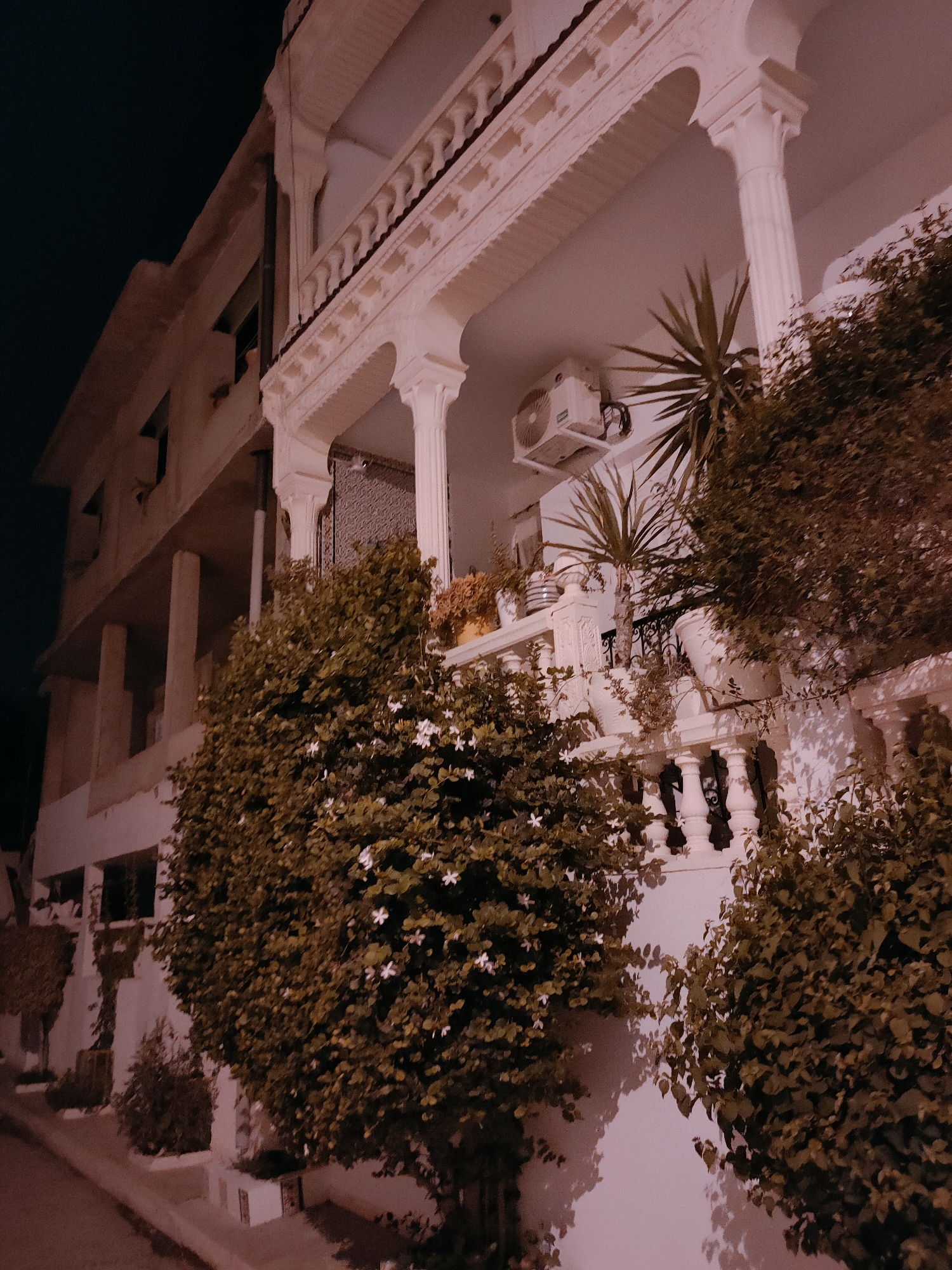 The image shows the exterior of a building at night, likely in Tunis, Tunisia. The building features a white, ornate facade with columns and a balcony adorned with intricate carvings. Lush green foliage, including flowering bushes and a palm-like plant, surrounds the building and spills over the balcony railing. An air conditioning unit is visible mounted on the exterior wall. The lighting suggests it is nighttime, with artificial lights illuminating the scene. The overall impression is one of a well-maintained, perhaps residential, building with a touch of architectural elegance and abundant plant life.