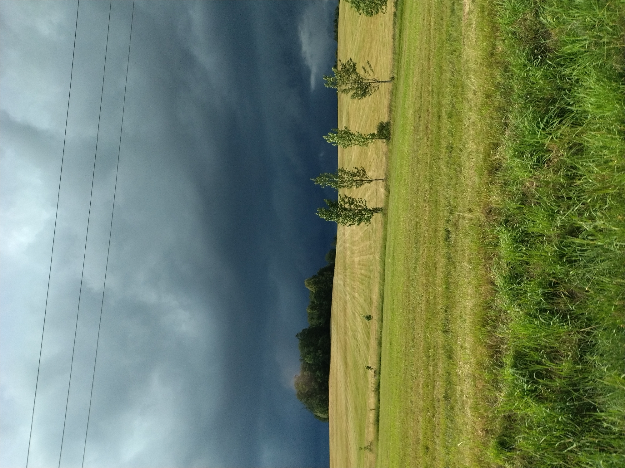 A photograph captures a rural landscape under a dramatic, dark storm cloud. In the foreground, a vibrant green field of grass transitions into a lighter, mown field. Beyond this, a rolling hill is covered in a golden, mown field with a line of trees forming a darker band on its crest. In the mid-ground, a row of tall, slender trees stands against the ominous sky. Three thin, dark electrical wires stretch horizontally across the upper portion of the frame, silhouetted against the turbulent clouds. The scene is devoid of human presence. The weather suggests an approaching storm. The image location is Ježená, Czechia.
