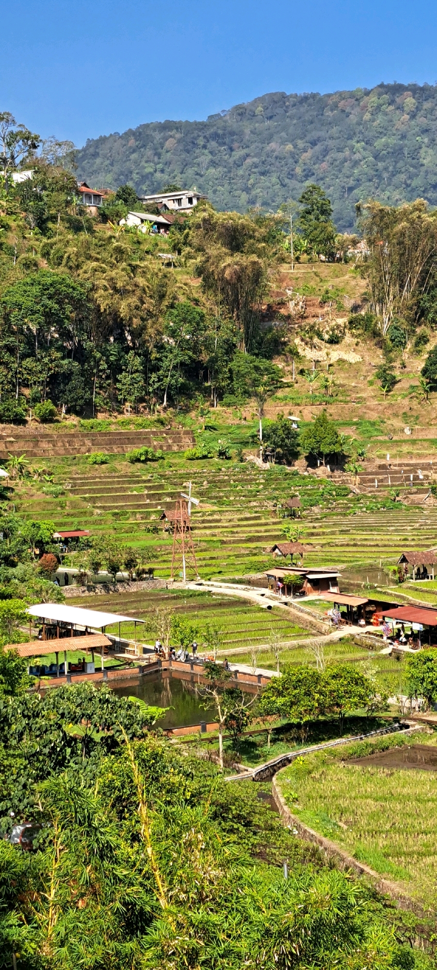 The image shows a scenic view of terraced rice fields on a hillside in Tretes, Indonesia. The landscape is lush with green vegetation, including trees and bamboo. Several buildings are visible on the slopes, some appearing to be houses and others possibly restaurants or recreational facilities. A pond or small lake is present in the foreground, with people gathered around it and near some of the structures. A distinctive wooden windmill structure stands prominently in the middle ground. The sky is clear and blue, indicating a sunny day. The scene conveys a sense of rural tranquility and natural beauty.