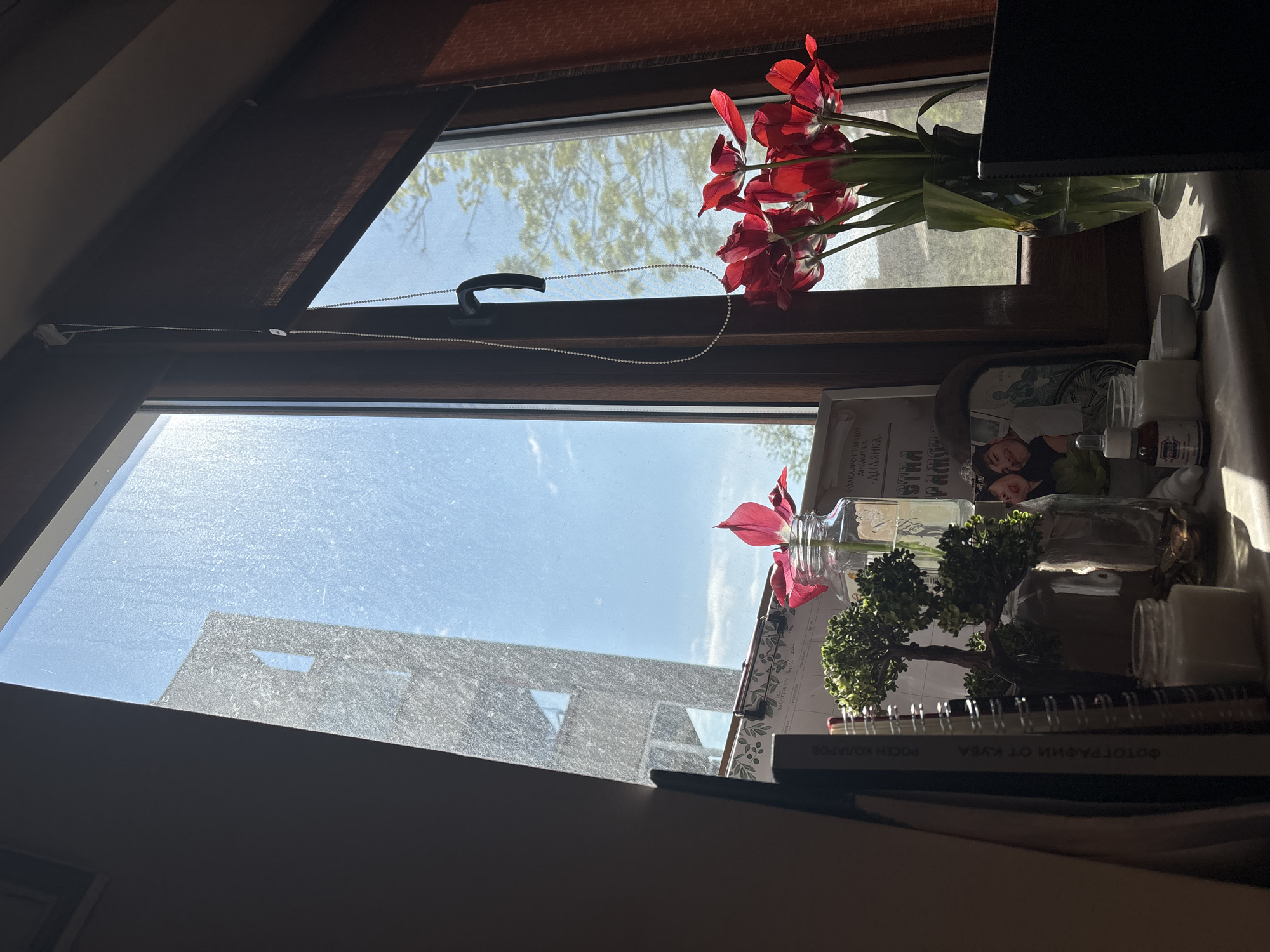 The image presents an indoor scene with two windows providing views to the outside. The lower window shows a partial view of a building exterior on a bright, sunny day. The window glass appears to be somewhat dusty. The upper window displays a partial view of treetops against a bright sky. A bouquet of red tulips sits in a vase on the window ledge. Several miscellaneous objects are also present on the ledge. The scene is overall sunlit, and the lower part of the image is in shadow. Text on various items indicates the language is likely Bulgarian. The OCR mentions a cultural ensemble and a photographer. The scene is likely from the city of Plovdiv, Bulgaria, as indicated by the OCR text.