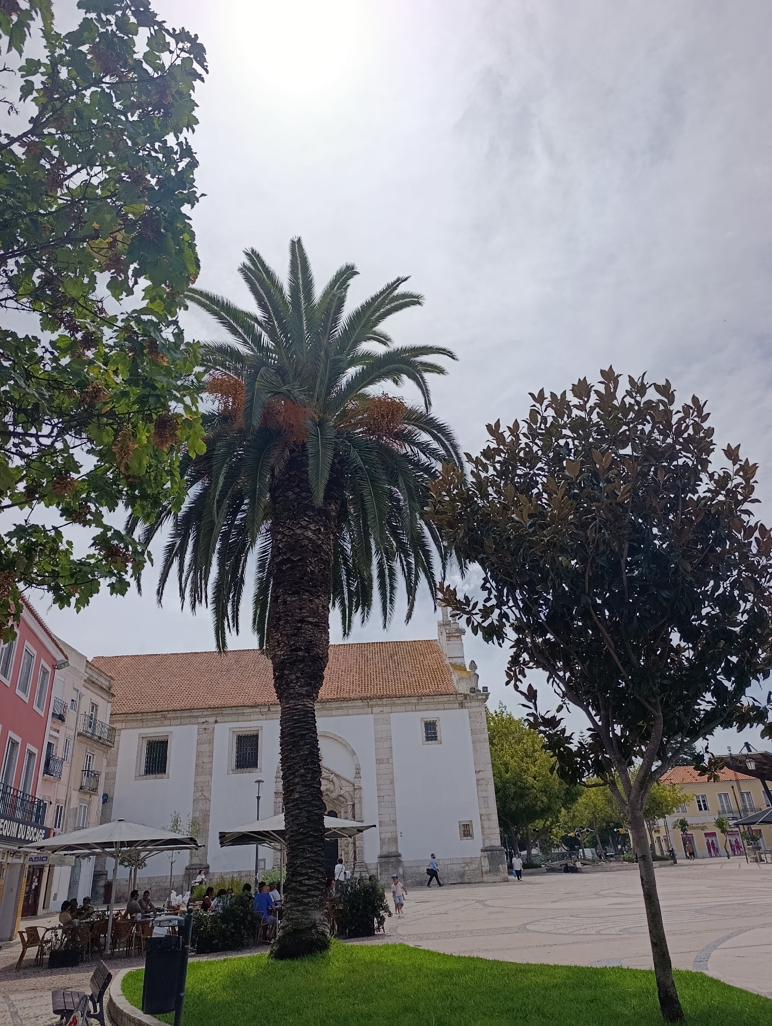 In the city of Setúbal, Portugal, a palm tree stands tall in the center of a sunlit plaza with a cloudy sky above. To the left of the palm tree is a building with a pink facade, adorned with white-framed windows and black balconies. Adjacent to it is a white building with a red tile roof, featuring square windows. In front of these buildings, an outdoor seating area is set up with umbrellas and tables, where people are seated and dining. To the right of the palm tree, a large tree with dark green leaves is visible, its trunk partially obscuring a portion of the plaza. Further in the background, more buildings with red tile roofs and trees can be seen, contributing to the urban landscape. People are walking and interacting within the plaza, creating a lively atmosphere.