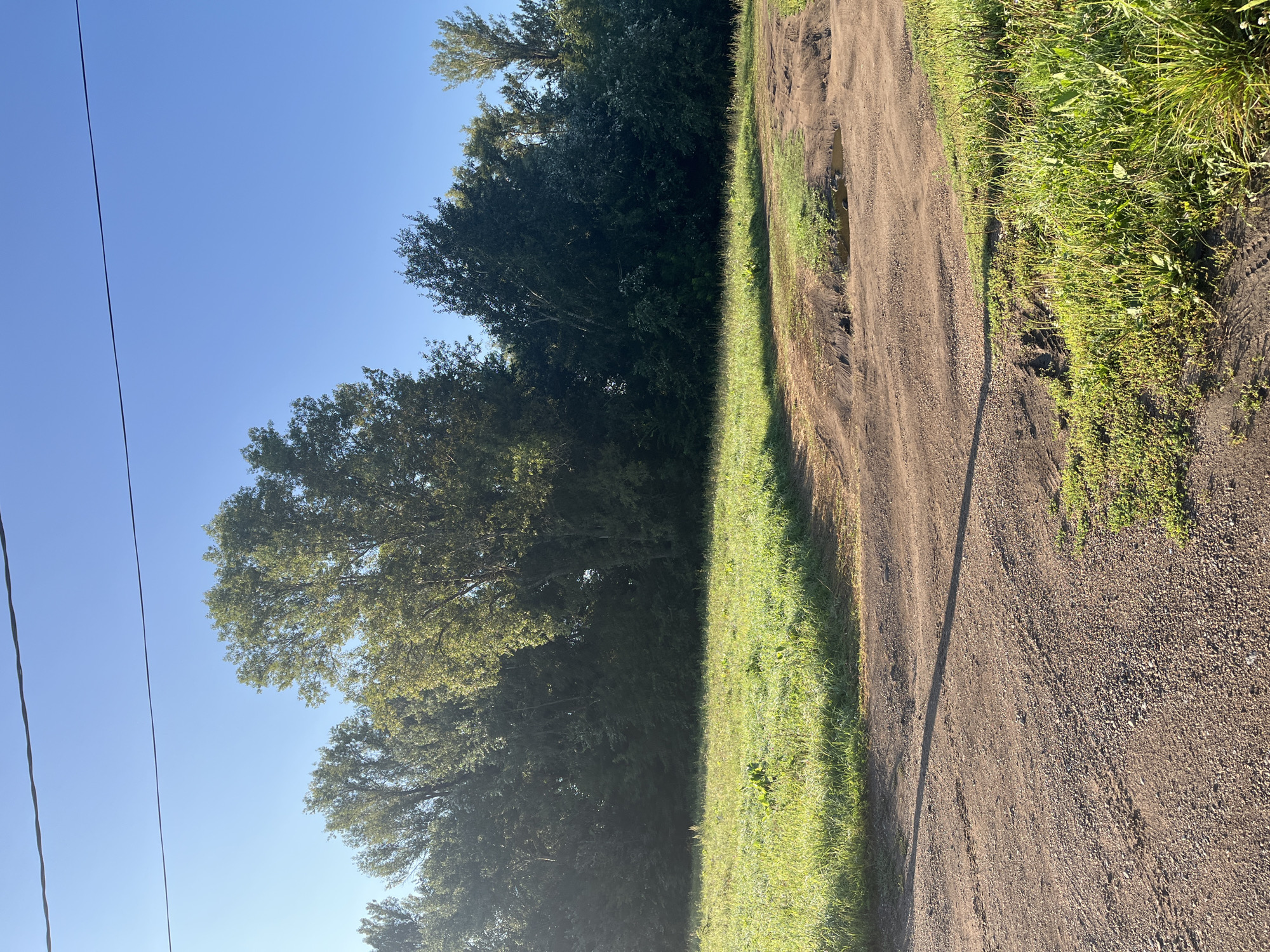 The image depicts a dirt road and a grassy field bordered by a dense line of trees. A power line stretches across the clear blue sky above. The scene is likely an undeveloped area on the outskirts of Blagoveshchensk, Russia, possibly a rural road or a path through a park or natural reserve. The lighting suggests it is either early morning or late afternoon, with the sun casting long shadows across the road. There are no people or animals visible in the image, nor any vehicles. The environment is natural and serene, with no signs of human habitation or activity other than the dirt road and power line.
