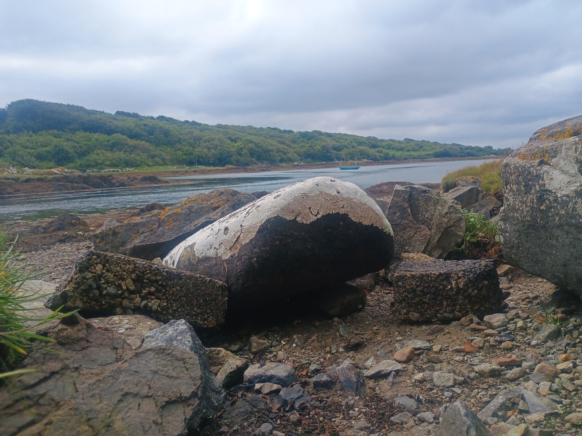 The image depicts a rugged, rocky shoreline with a body of water in the background, likely a river or bay. In the foreground, large, weathered stones and smaller pebbles dominate the landscape. A prominent, large, white-capped boulder is centrally positioned, resting on smaller rocks and debris. Two rectangular concrete blocks, filled with aggregate, are also visible near the central boulder. Beyond the shore, the water stretches towards a densely forested hillside. A small, blue sailboat is discernible on the water in the mid-ground. The sky is overcast with a cloudy, diffused light. The scene conveys a sense of natural, untamed wilderness.