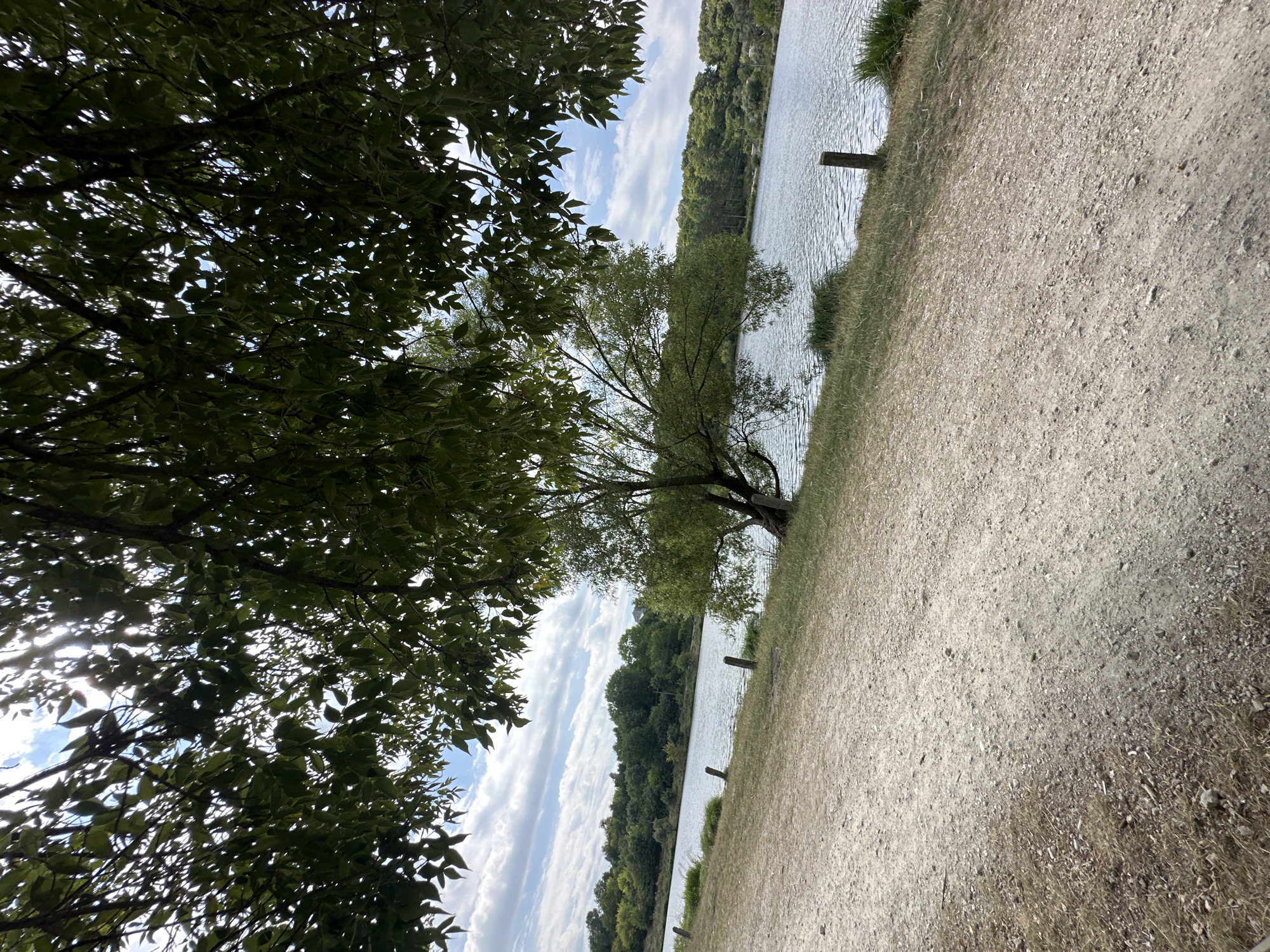 The image depicts a natural scene with a body of water in the background, likely a lake or river, bordered by a lush green treeline. In the foreground, a sandy path runs along the edge of the water. A single tree with a bent trunk and full foliage stands near the water's edge. The sky is partly cloudy, with sunlight filtering through the leaves of a tree in the foreground, casting shadows. The environment appears to be a park or recreational area, possibly within the city of Makiv, Ukraine, given the context of the prompt. There are no people or animals visible in the image. The overall impression is one of tranquility and natural beauty.