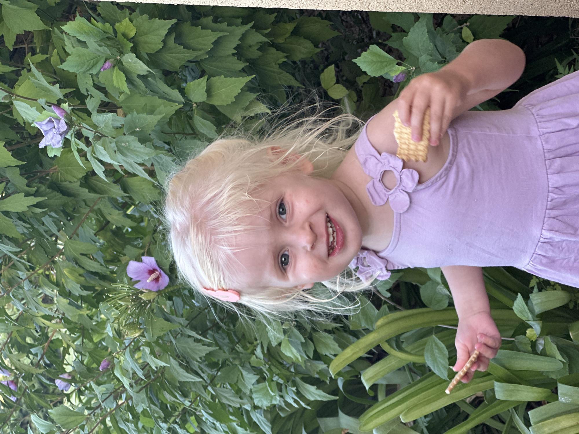 In the city of Galil Elyon Regional Council, Israel, a young Caucasian girl with blonde hair and blue eyes, wearing a lavender dress, stands outdoors. She is smiling and holding two crackers, one in each hand, with a faint pink hair clip in her hair. Behind her, a lush green bush with purple flowers serves as the backdrop, with a textured concrete wall visible on the right side of the frame.