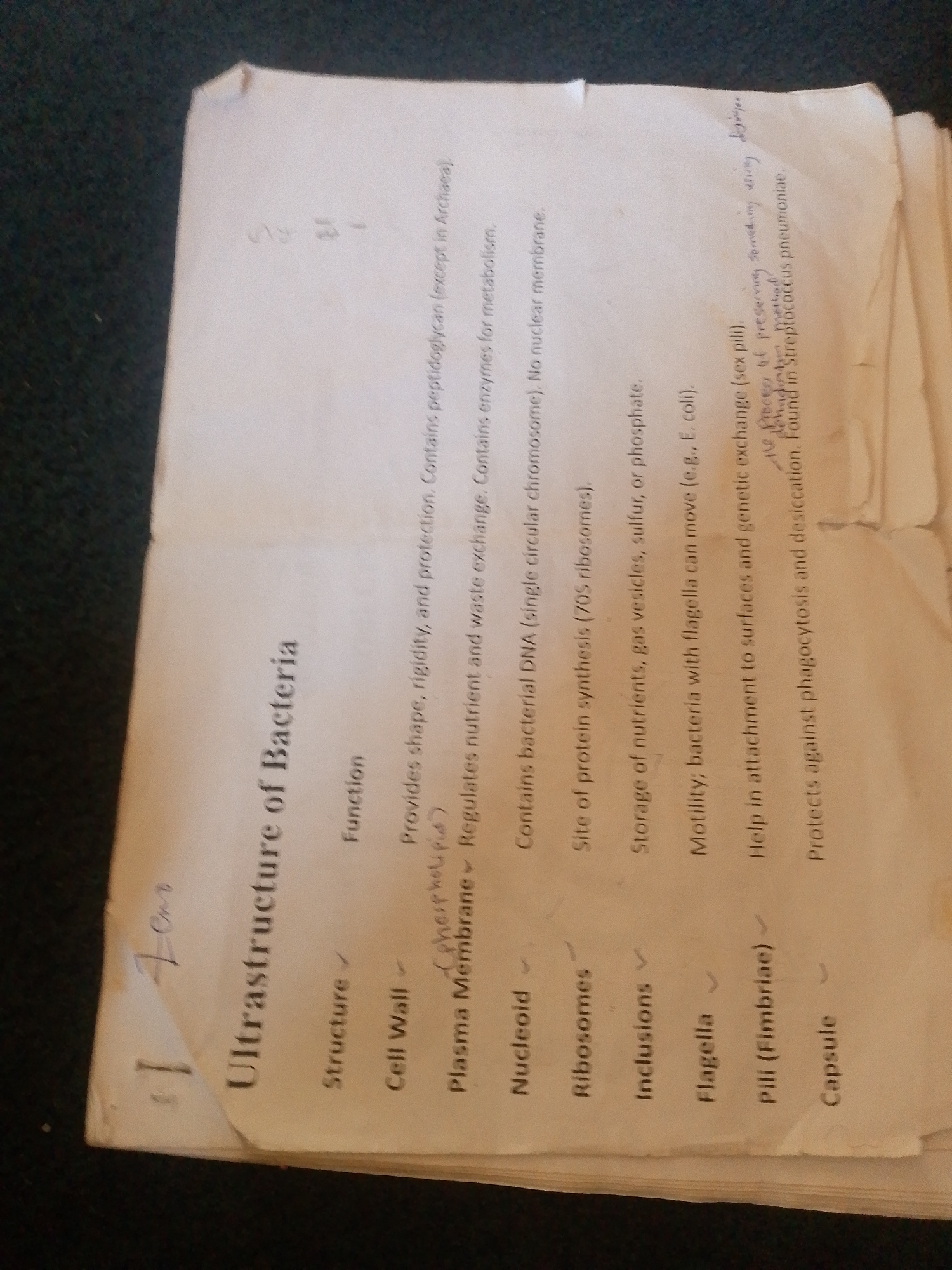 This media file is a close-up, angled photograph of a piece of paper with handwritten and printed text. The paper appears to be a study guide or notes on the ultrastructure of bacteria. The background is dark and out of focus, suggesting the photo was taken in a dimly lit environment, possibly a room.
The paper itself is creased and has some wear, indicating it has been handled or used. The text is organized into columns, with "Structure" and "Function" as headings. Under "Structure," there are various components of bacteria listed, such as "Cell Wall," "Plasma Membrane," "Nucleoid," "Ribosomes," "Inclusions," "Flagella," "Pili (Fimbriae)," and "Capsule." Next to each structural component, there is a description of its function. Some of the entries have checkmarks next to them, possibly indicating completion or correctness.
There are also handwritten annotations on the paper, including what appears to be a measurement ("170mm") in the top left corner, and some additional notes at the bottom right, partially obscured and difficult to fully decipher. The handwritten text mentions "the process of preserving something using," and "dehindiston methail," and "in Streptococcus pneumoniae." The lighting suggests the photo was taken indoors. There are no people or specific scene details visible, other than the paper and its contents. The overall impression is that of a document being reviewed or studied.