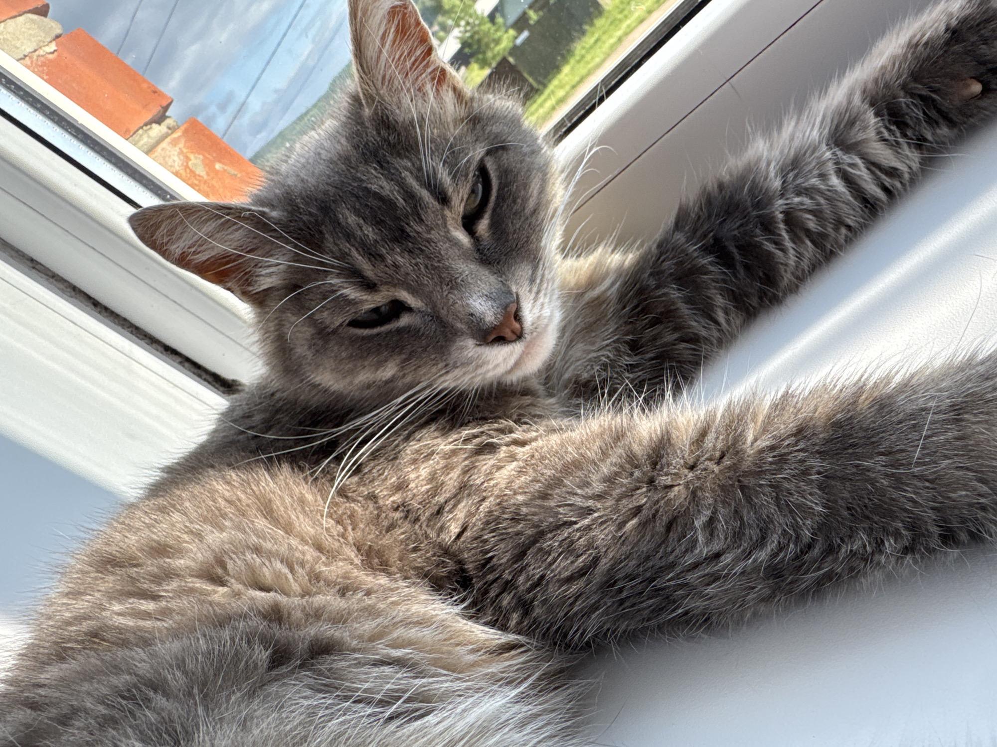 A grey tabby cat is resting on a white windowsill, with its front paws outstretched. The cat is lying on its side, with its head turned towards the camera and its eyes partially closed. Sunlight is streaming in from the window, illuminating the cat's fur and creating shadows on the windowsill.
Through the window, a blue sky with some clouds is visible, along with green trees and buildings in the background. Red tiles are visible on the left side of the image, suggesting a rooftop or building exterior. The overall impression is of a peaceful and relaxed scene, likely taking place during the daytime on a clear day. The cat appears calm and content. There is no visible text in the image. The location context provided is Красный Ключ, Russia.
