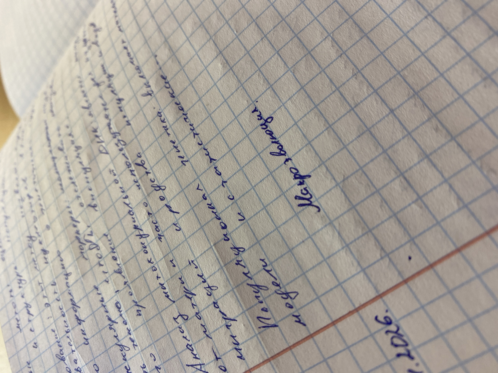 The image shows a page from a notebook filled with handwritten text in Russian. The text discusses molecular biology concepts, including DNA sequencing, mitochondrial analysis, and population genetics. The last phrase reads "Macroevolution." Below the text is a date: "7. 2026." The notebook page is lined with blue squares and has a pink/red margin line at the bottom. The page appears to be part of a larger set of notes or a written assignment.