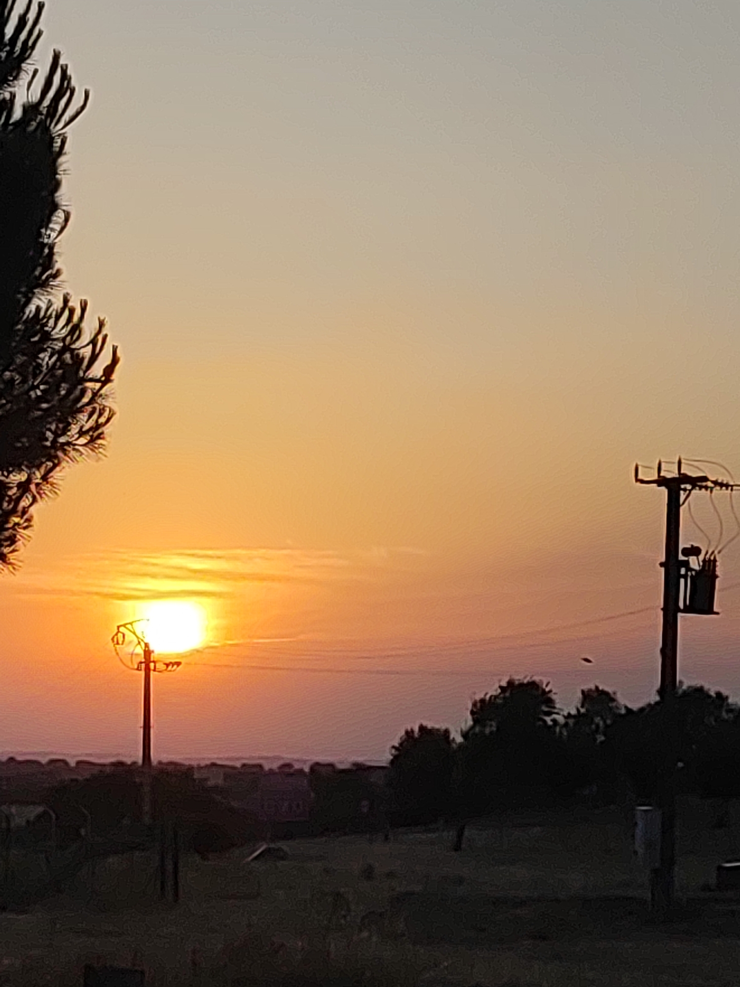 The image captures a sunset in Sobradillo, Spain, with the sun positioned near the horizon, casting a warm orange glow. In the foreground, a silhouette of a pine tree is visible on the left side, its branches framing the scene. A tall utility pole with a transformer is present on the right, its dark structure contrasting with the bright sky. The middle ground shows a line of dark trees and what appear to be rooftops of buildings, suggesting a residential or semi-rural area. The sky transitions from a bright yellow-orange near the sun to a paler hue at the top, with faint wisps of clouds. The overall impression is a serene, natural landscape at dusk.