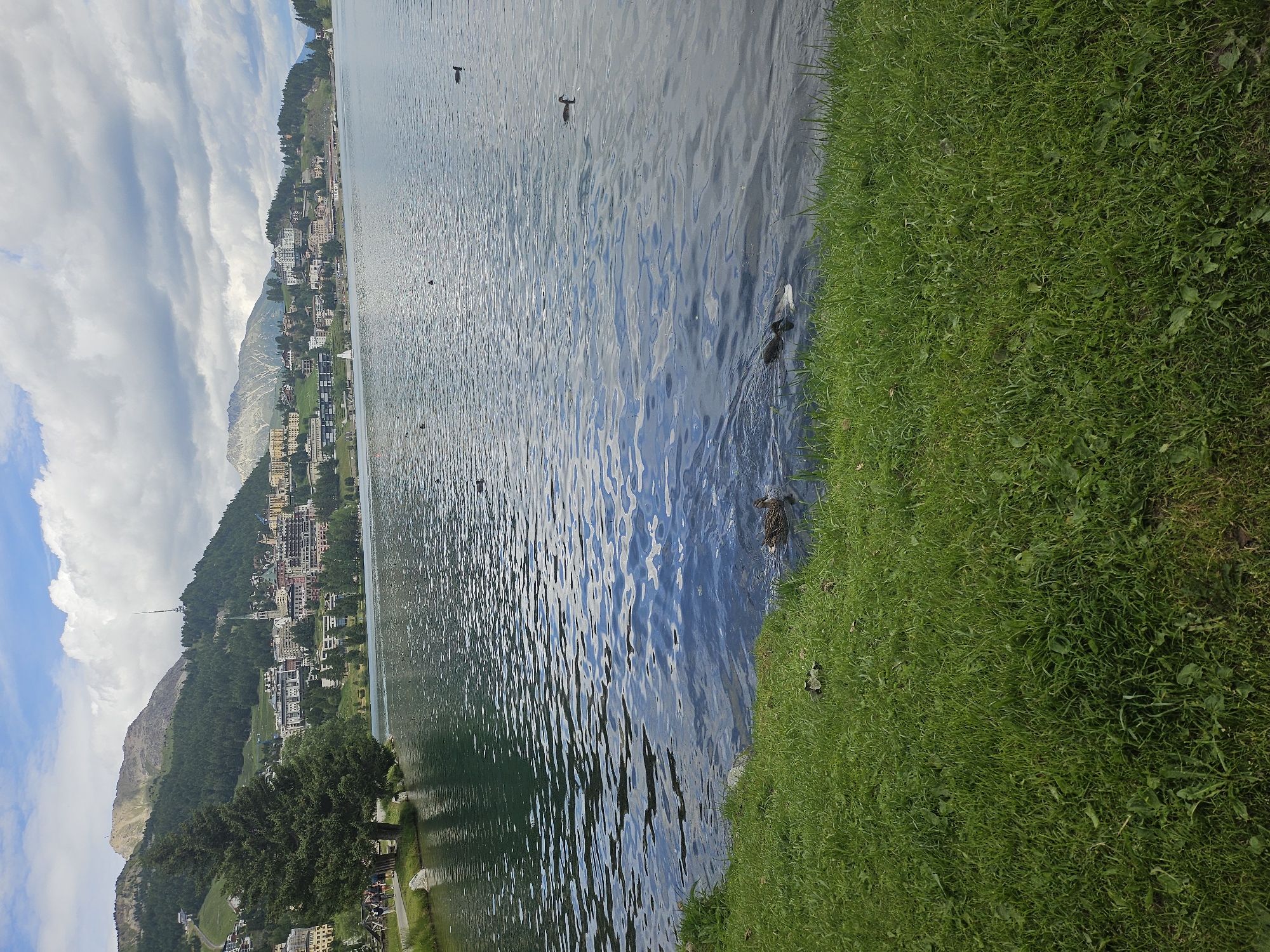 The image depicts a scenic view of Lake St. Moritz in St. Moritz, Switzerland. In the foreground, lush green grass lines the edge of the lake. The lake itself is calm with ripples on its surface, reflecting the cloudy sky and the surrounding landscape. Several ducks are visible on the water, some swimming and others appearing to be diving. In the mid-ground, across the lake, is a picturesque town with buildings clustered on a hillside. These buildings range in color and architectural style, with some appearing to be hotels or residences. The hillside is dotted with trees, and further up, mountains rise in the background, some with sparse vegetation and rocky peaks. The sky is partly cloudy, with large white clouds interspersed with patches of blue. The overall scene suggests a tranquil natural environment combined with a charming urban setting.