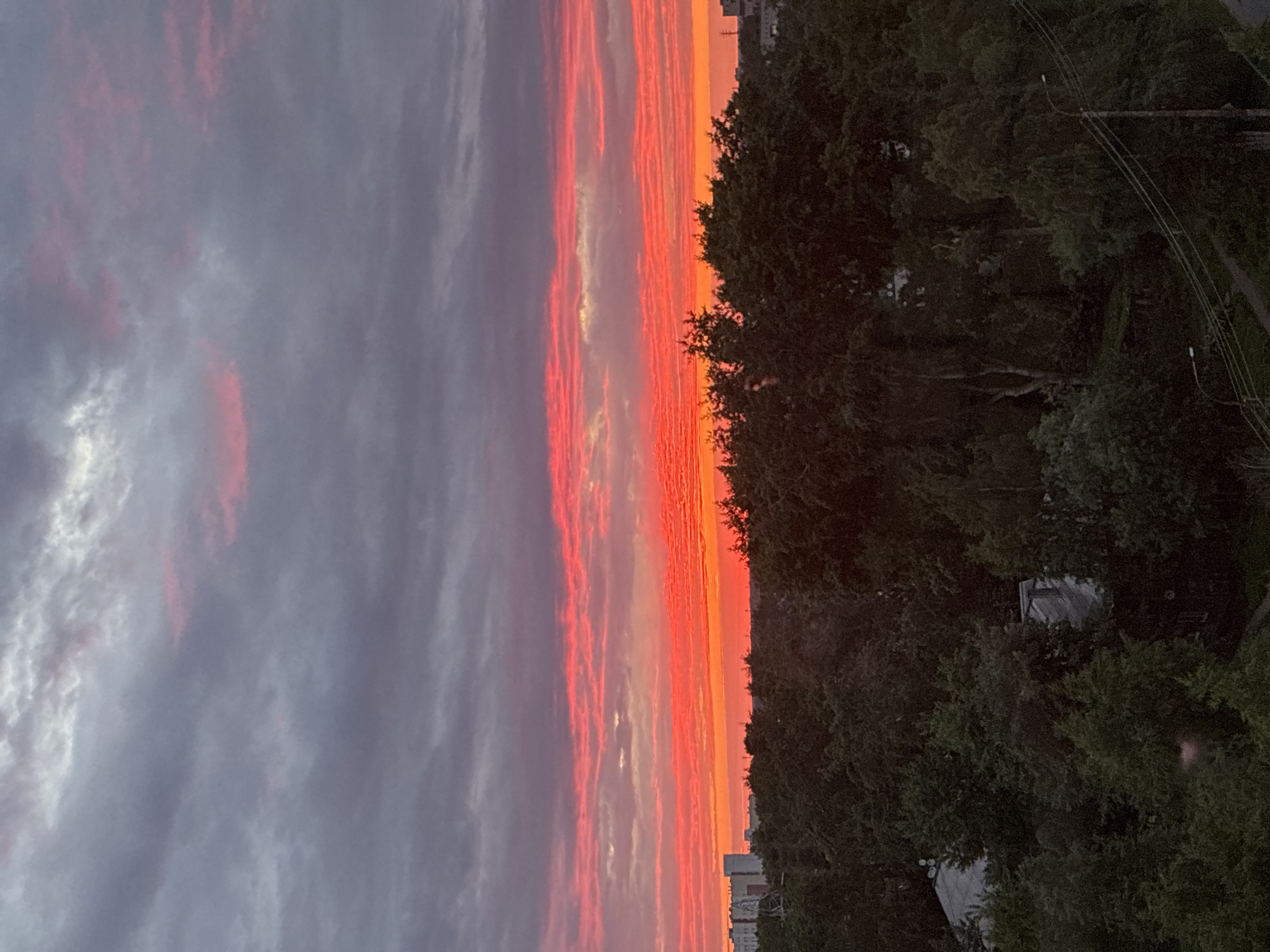 The image captures a vibrant sunset over a densely wooded urban area. The sky is dominated by dramatic hues of orange and red, with streaks of pink and purple blending into the darker, grey clouds above. A thick canopy of dark green trees forms the mid-ground, with some buildings of varying heights visible peeking through the foliage on the left side of the frame. The overall impression is one of a dramatic natural phenomenon occurring above a tranquil, albeit somewhat shadowed, cityscape.