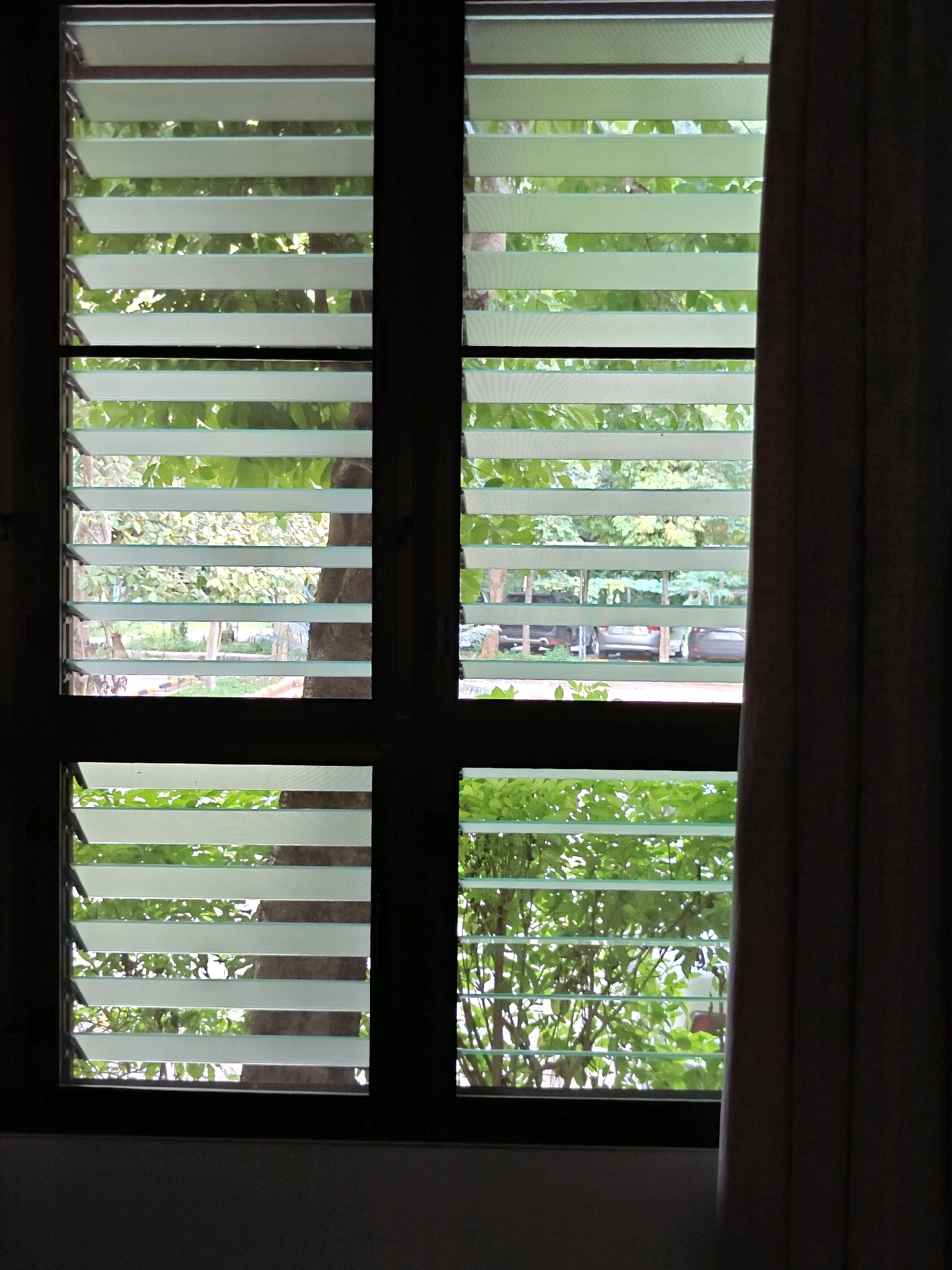 The image shows a view through a louvre window of trees and parked cars. The window is divided into four sections, with louvres visible in each section. In the background, there are green trees with dappled sunlight filtering through their leaves. Some of the trees appear to be mature with visible trunks. Parked cars are visible in a lot or street behind the trees. The scene suggests an outdoor environment, possibly a residential or commercial area, viewed from inside a building. The presence of lush foliage and cars points to a developed area with vegetation. The image is taken from a slightly low angle, looking upwards through the window. The light is bright, indicating it is daytime.