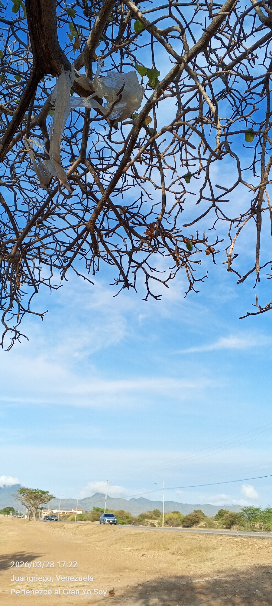 A daytime shot in Juan Griego, Venezuela, shows bare tree branches against a blue sky with scattered clouds. A clear plastic bag is tangled in the upper left branches. Below the sky, there's a landscape of dry grassland and shrubbery with distant mountains. A road runs through the middle ground with cars visible in the distance. The bottom of the image contains the date (2026/03/28 17:22) and the location (Juan Griego, Venezuela).