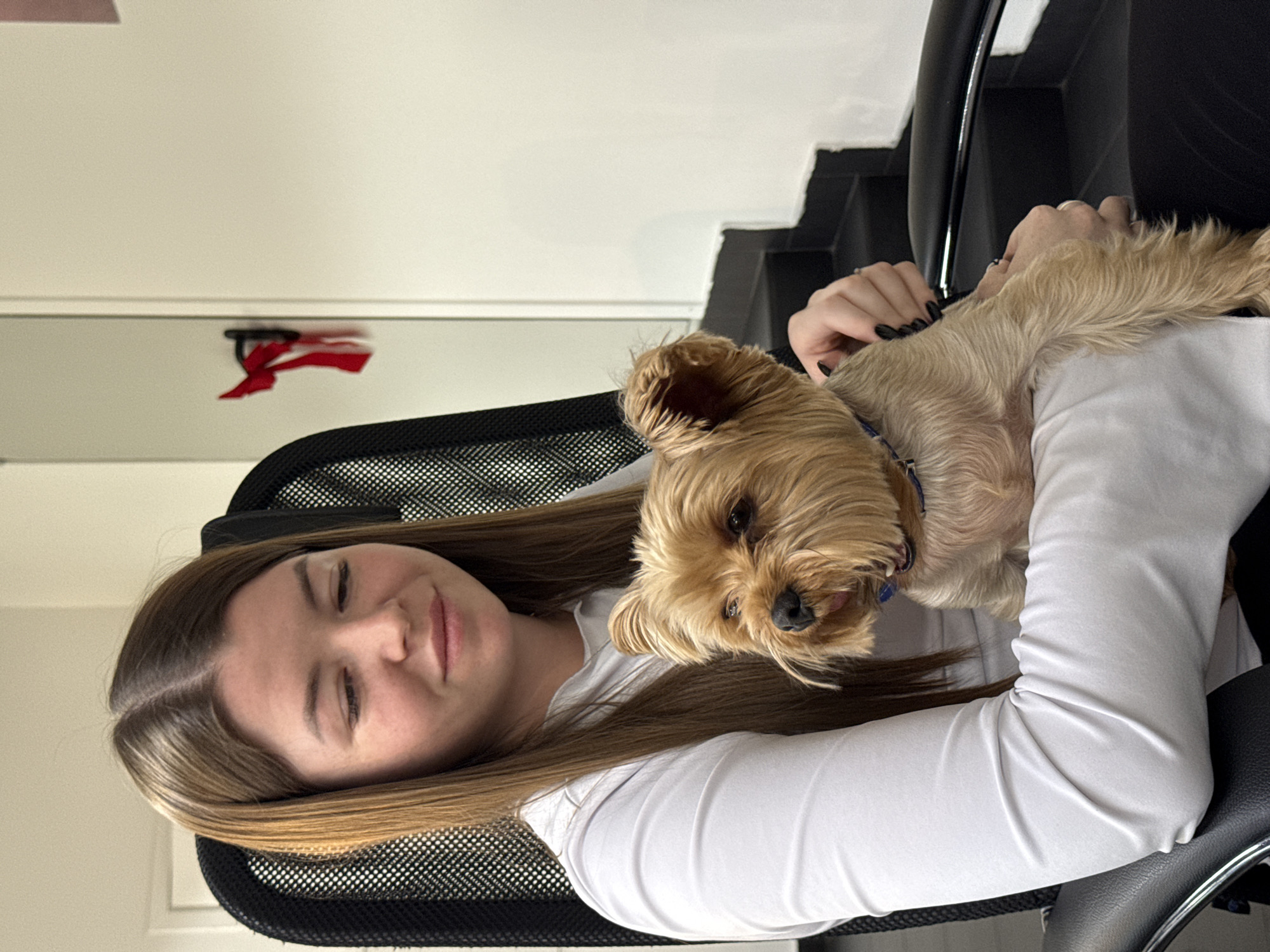 A young woman with long, light brown hair is sitting in a black mesh office chair, leaning back and smiling with her eyes closed. A small, light brown dog, likely a Yorkshire Terrier, is resting on her chest, facing the camera with its tongue slightly out. The woman is wearing a white long-sleeved shirt. Her hands are visible, with one resting on the dog and the other near the dog's head, adorned with black nail polish. The background is slightly out of focus, showing a white wall and a black staircase. A small red object, possibly a ribbon or fabric, is attached to the wall with a black clip. The overall scene suggests a relaxed and affectionate moment between the woman and her dog in an indoor setting, likely an office or home environment. The lighting indicates it could be daytime, but no specific time is evident. No visible text is present in the image. The context suggests the location is Nizhny Novgorod, Russia.