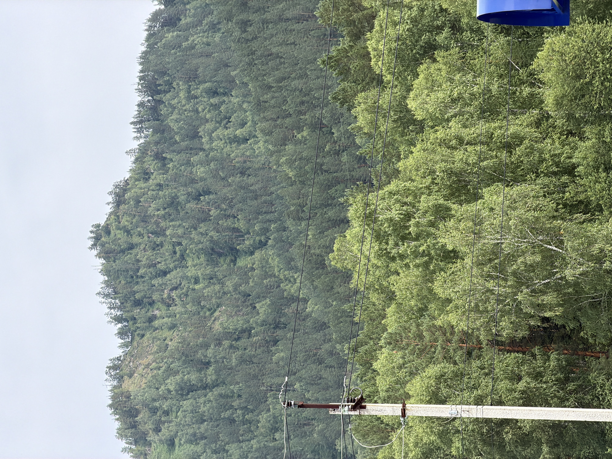 The image depicts a vast, densely forested mountainside under a cloudy sky. The trees are predominantly evergreen, with variations in green hues indicating different species or stages of growth. The terrain is steep, with the forest extending to the peak of the mountain. In the foreground, a utility pole with electrical wires is visible, suggesting human infrastructure intersecting with the natural landscape. The pole is concrete, and the wires are black. Part of a blue object, possibly a roof or awning, is visible at the top right of the frame. The lighting is diffused, typical of an overcast day. The scene is one of natural beauty and ruggedness, with the subtle presence of man-made elements. There is no visible text. The orientation of the image is rotated, making the mountainside appear to run vertically.