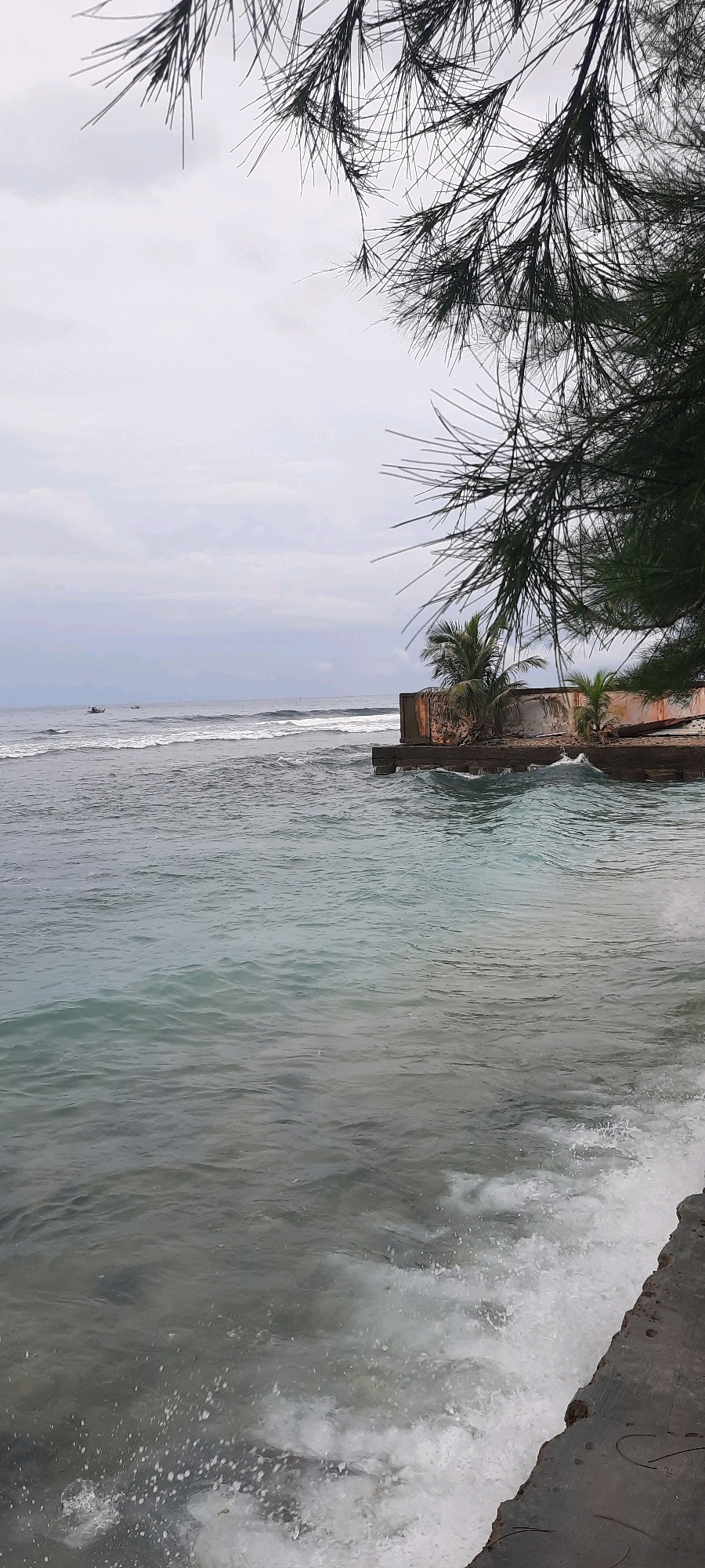 The image shows a view of the ocean from a concrete structure, likely a pier or seawall, in Tapak Tuan, Indonesia. In the foreground, waves are crashing against the concrete edge. The water is a greenish-blue color, and the sea is moderately rough. In the middle ground, there is a dilapidated concrete structure with some vegetation, including palm trees, growing around it. The structure appears to be partially submerged or eroded by the sea. Further out in the ocean, small boats can be seen. The sky is overcast with clouds. Pine tree branches are visible in the upper right portion of the image, framing the scene.