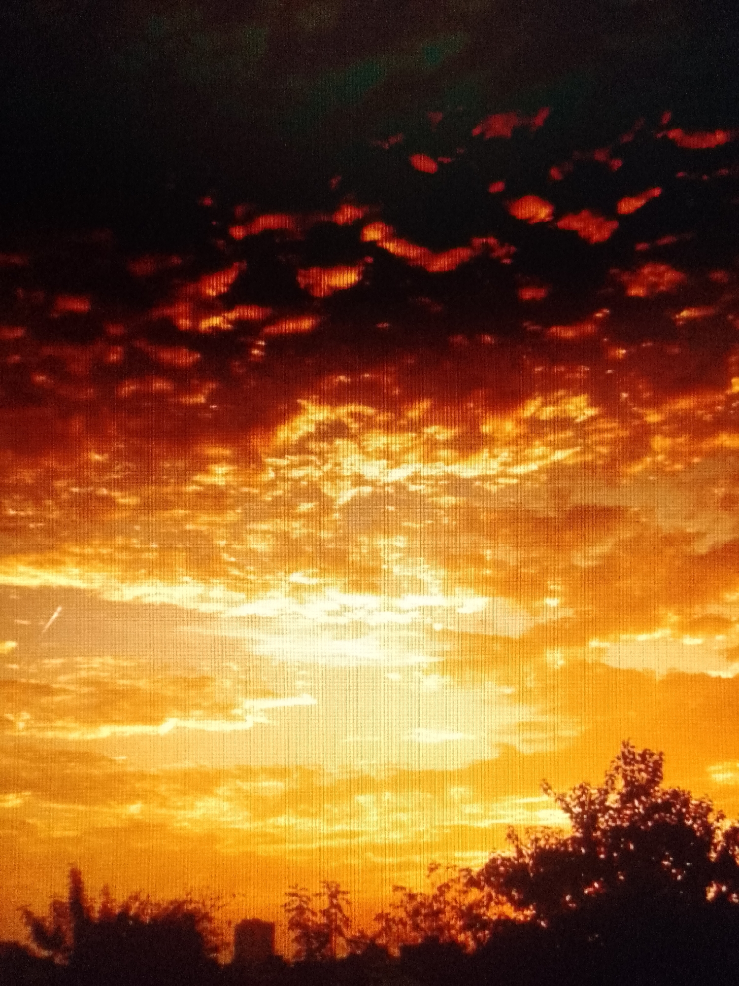 The image depicts a sunset with a view of the sky above an urban area. The sky is filled with orange and yellow clouds, darker at the top with hints of red. The bottom of the image shows silhouettes of trees and buildings against the bright sky. A faint, white line is visible in the upper-left corner, possibly a contrail. The location is Unknown, Unknown.