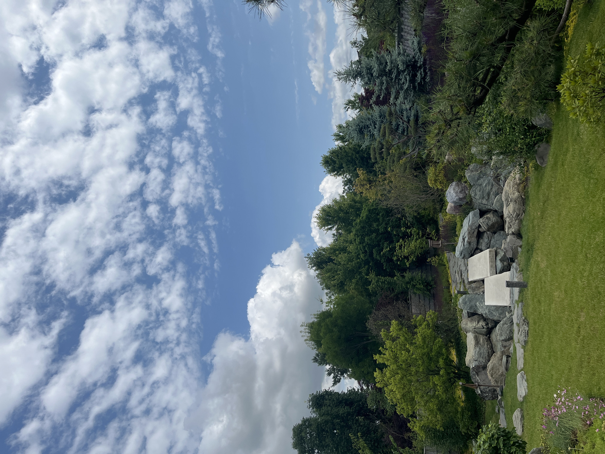 This image depicts a serene garden landscape, possibly within the city of Krasnodar, Russia, characterized by lush greenery, carefully arranged rocks, and a bright sky filled with clouds.
In the foreground, a well-maintained green lawn stretches across the scene. To the left, a small cluster of delicate pink flowers adds a touch of color. Further into the mid-ground, a collection of large, grey rocks are artfully placed, forming a naturalistic arrangement. Two flat, light-colored stepping stones, resembling small bridges, are positioned atop or amidst these rocks, suggesting a pathway. Surrounding these rocks are various trees and shrubs, some with vibrant green foliage and others with a more muted, blue-green hue, adding depth and texture to the scene.
The background is dominated by a dense arrangement of trees, forming a verdant canopy. These include various species of conifers and deciduous trees, creating a rich tapestry of greens. The sky above is a vibrant blue, interspersed with dynamic, white cumulus clouds, some of which are large and puffy, while others appear as wispy streaks. The overall impression is one of a peaceful, naturalistic garden designed for contemplation and enjoyment of the outdoors.