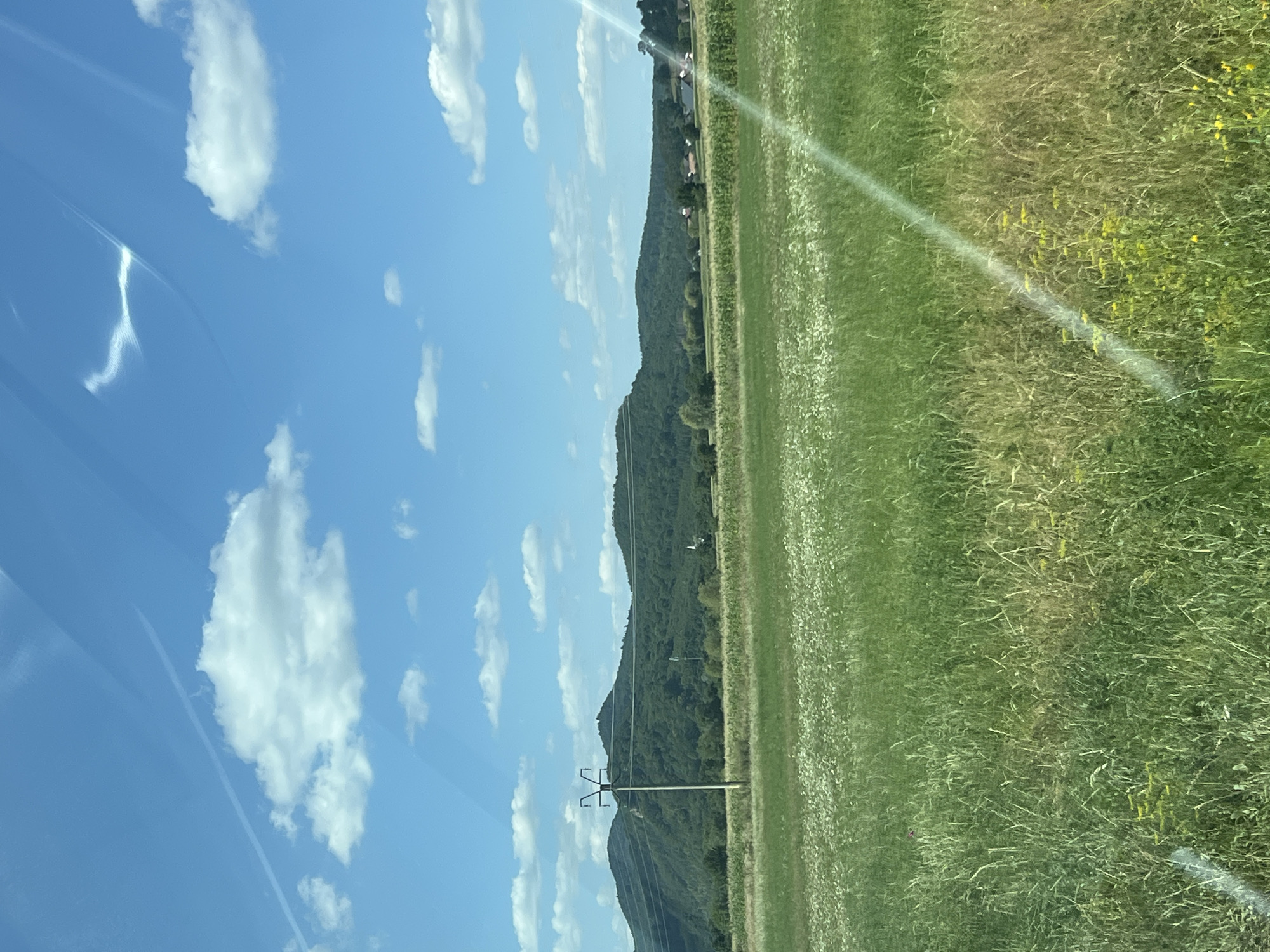 An outdoor, eye-level shot captures a scenic landscape under a bright blue sky dotted with fluffy white clouds. In the foreground, a lush green meadow stretches across the frame, densely populated with tall grasses and interspersed with patches of small white and yellow wildflowers. A diagonal beam of bright sunlight cuts across the right side of the meadow, creating a lens flare effect.
In the middle ground, a field of taller crops, possibly corn, is visible, bordered by a line of trees. Further back, rolling green hills covered in dense forest dominate the horizon. A prominent electricity pylon with its crossbars and wires stands tall in the left-middle ground, silhouetted against the distant hills. In the far distance, a small cluster of buildings with red roofs suggests a rural settlement. The overall impression is one of a peaceful rural setting on a clear day, possibly in the vicinity of Capu Codrului, Romania, given the natural landscape. There are no people or animals visible in the frame.