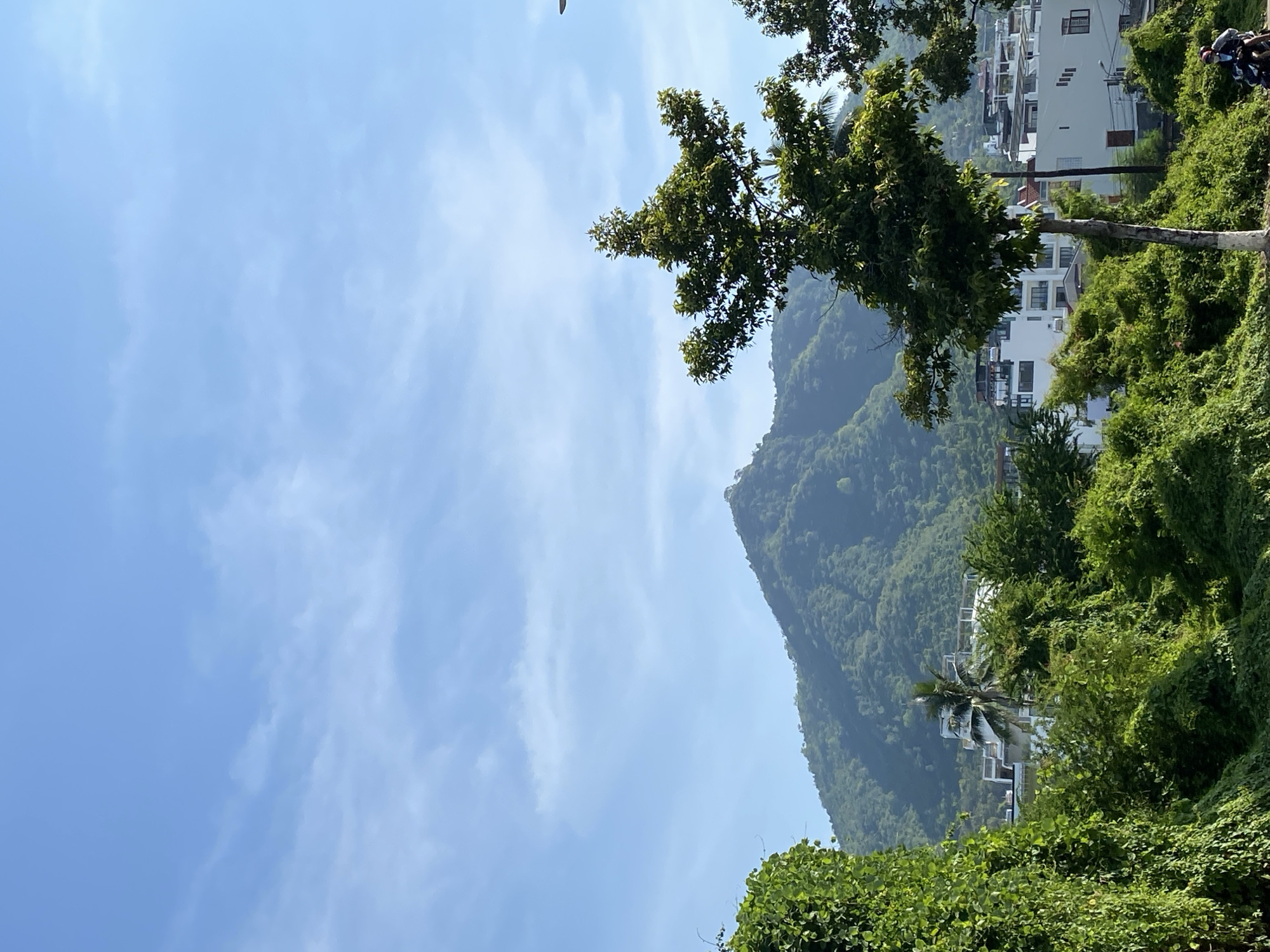 The image captures a daytime scene in Bac Nha Trang Ward, Vietnam. A lush green mountainside dominates the background, with a portion of a city or town visible at its base, featuring white buildings and a single palm tree. In the foreground, verdant vegetation, including a large leafy plant on the left and a tree with a uniquely shaped canopy in the center, obscures parts of the buildings. The sky is a clear blue with scattered wispy clouds. To the lower right, two individuals are riding a motorcycle on a paved road. The overall impression is one of a tropical or subtropical environment with a blend of natural landscape and urban development.